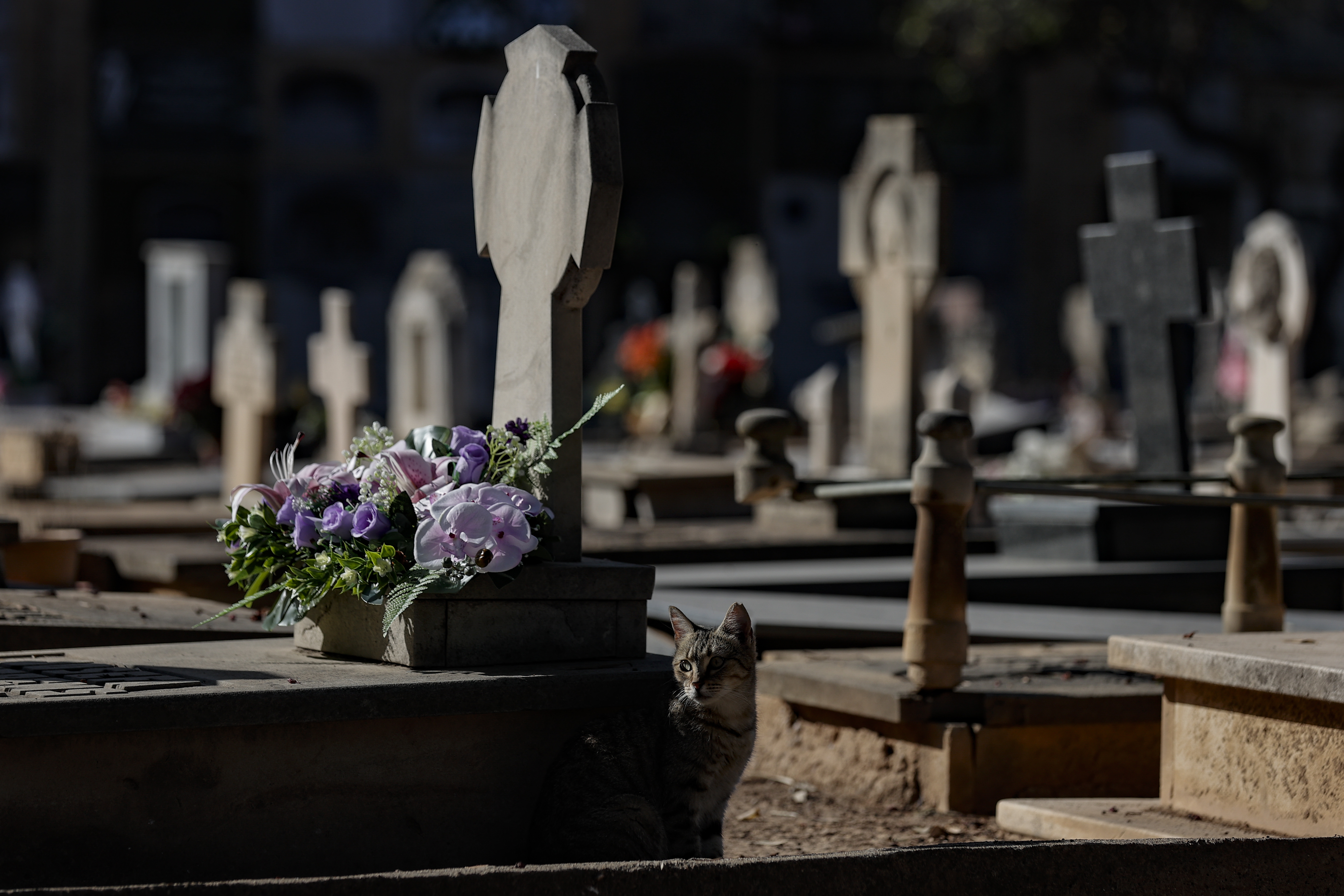 Dos décadas abierto y con un solo difunto, así es el cementerio de  Fisterra: 