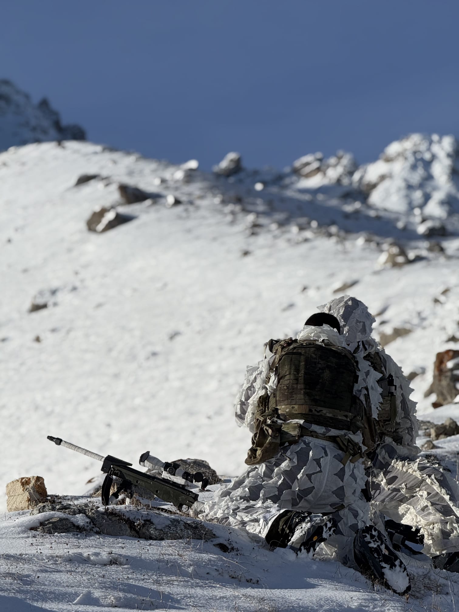 Batallón de Cazadores de Montaña Montejurra I/66