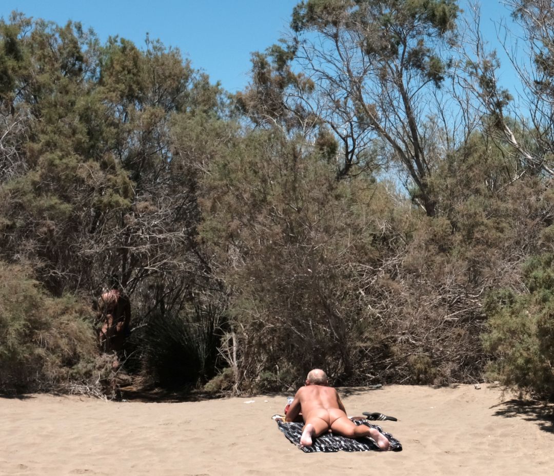 Sexo entre las dunas de Maspalomas Ocio y cultura Cadena pic