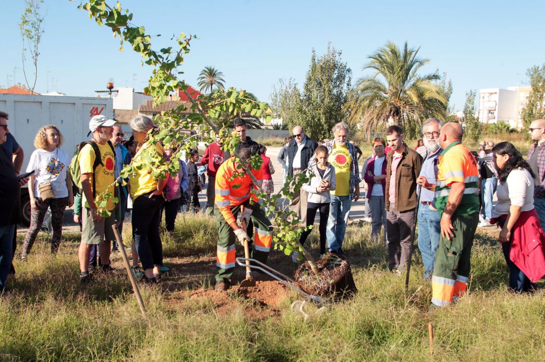 Los vecinos de Nazaret plantan árboles para crear una 