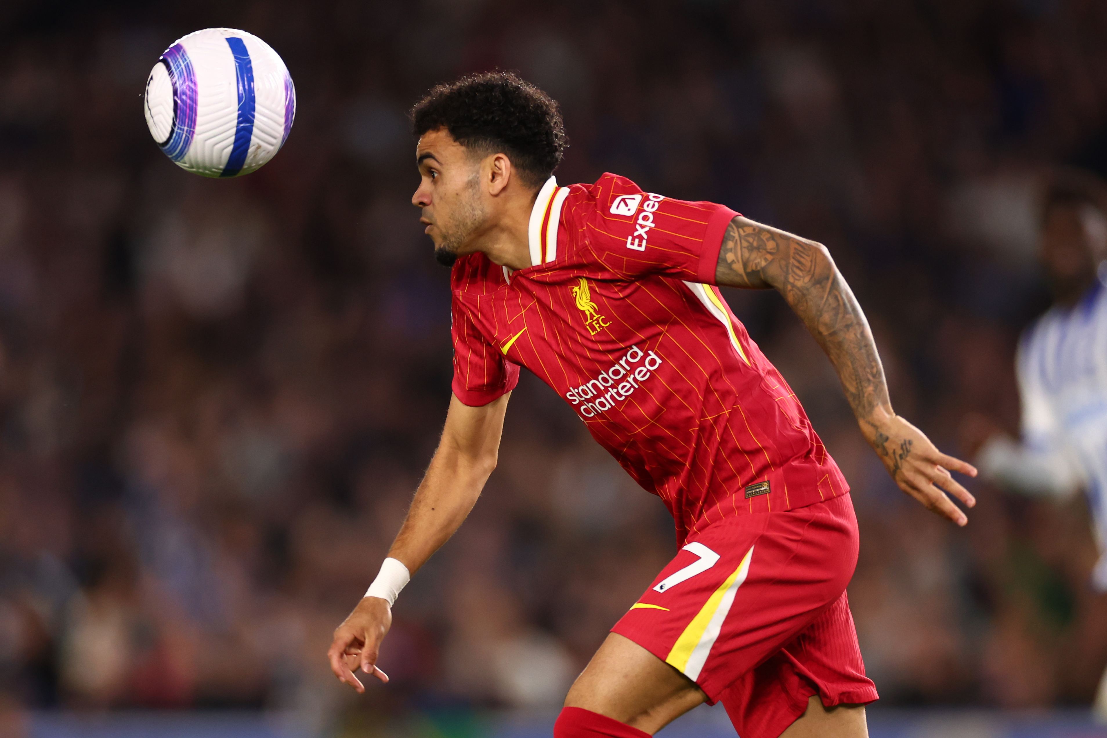 BRIGHTON, ENGLAND - MAY 19: Luis Diaz of Liverpool during the Premier League match between Brighton & Hove Albion FC and Liverpool FC at Amex Stadium on May 19, 2025 in Brighton, England. (Photo by Shaun Brooks - CameraSport via Getty Images)