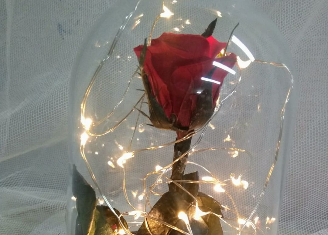 Un San Valentín con rosas liofilizadas y eternas al estilo de 'La Bella y  la Bestia' | Actualidad | Cadena SER
