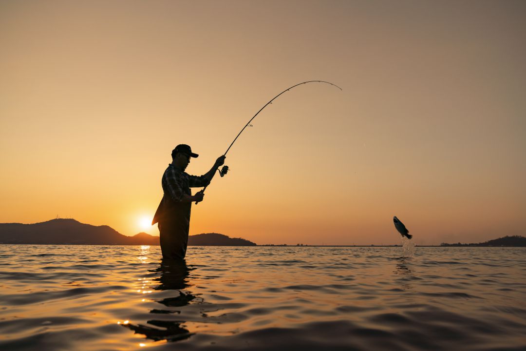 Caza y pesca | Actualidad | Cadena SER