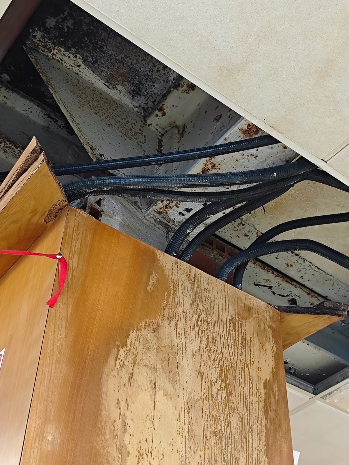 La lluvia vuelve a afectar a la Biblioteca Central de Benidorm