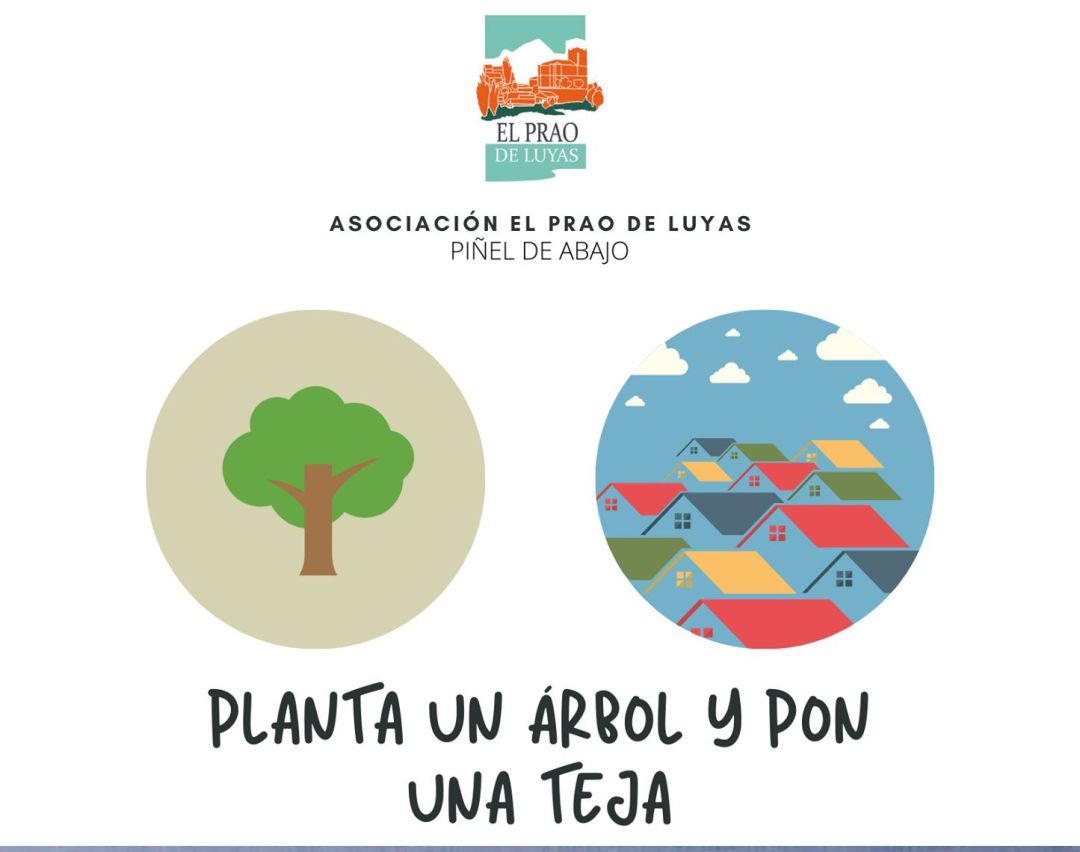 La peculiar iniciativa de Piñel de Abajo para luchar contra la  deforestación | Actualidad | Cadena SER