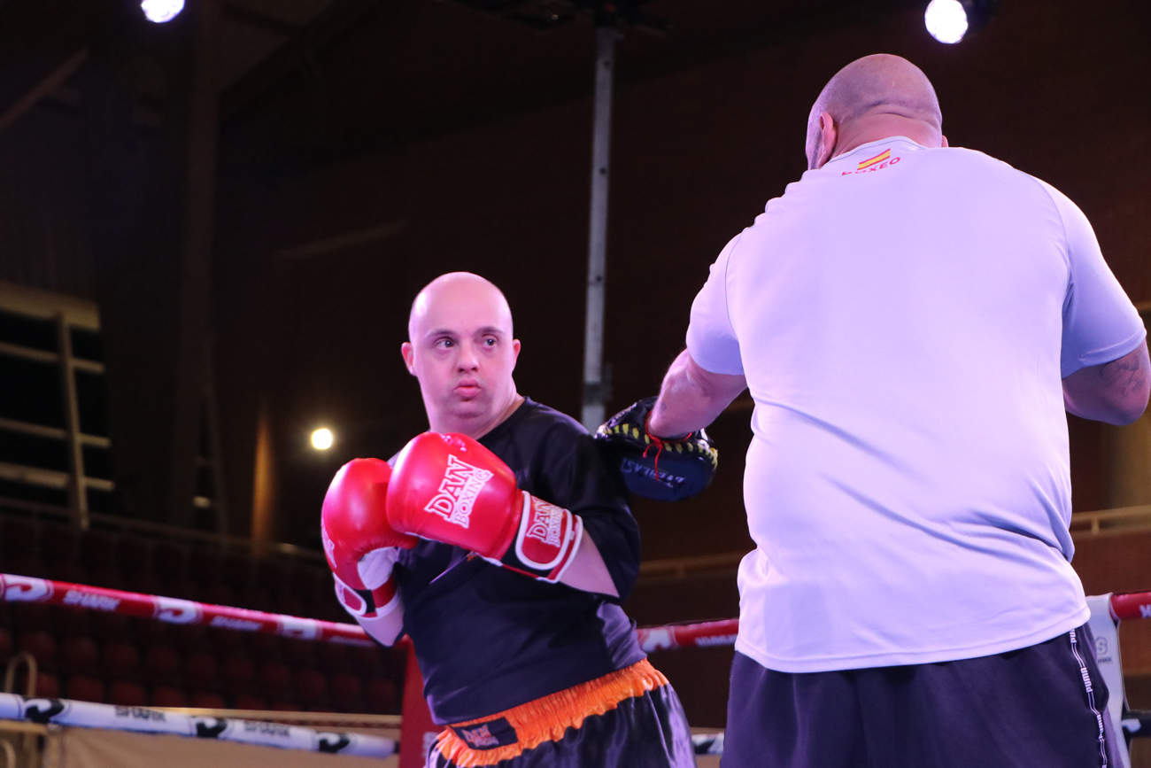 Exhibición de palas