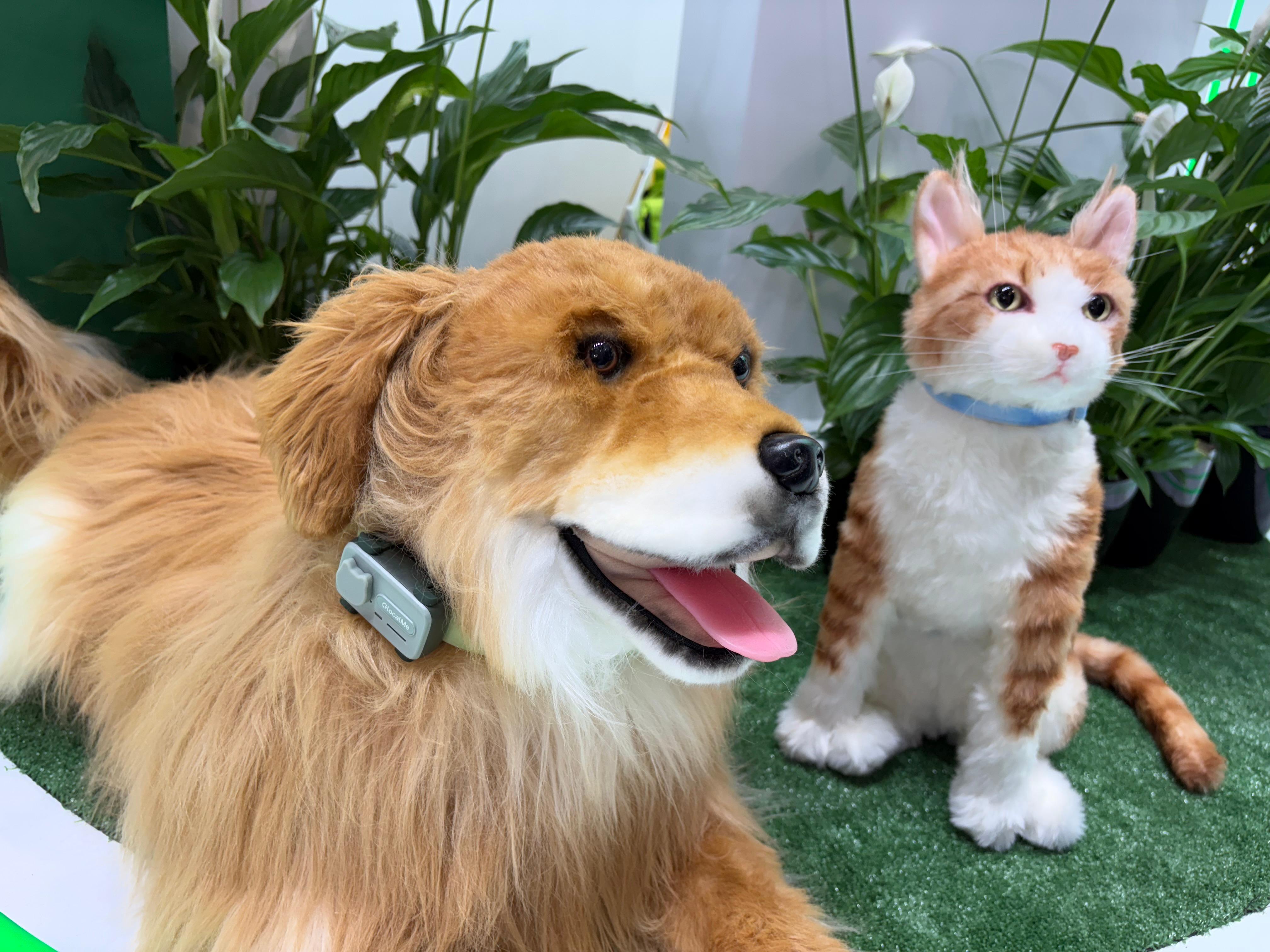 Her life under scrutiny