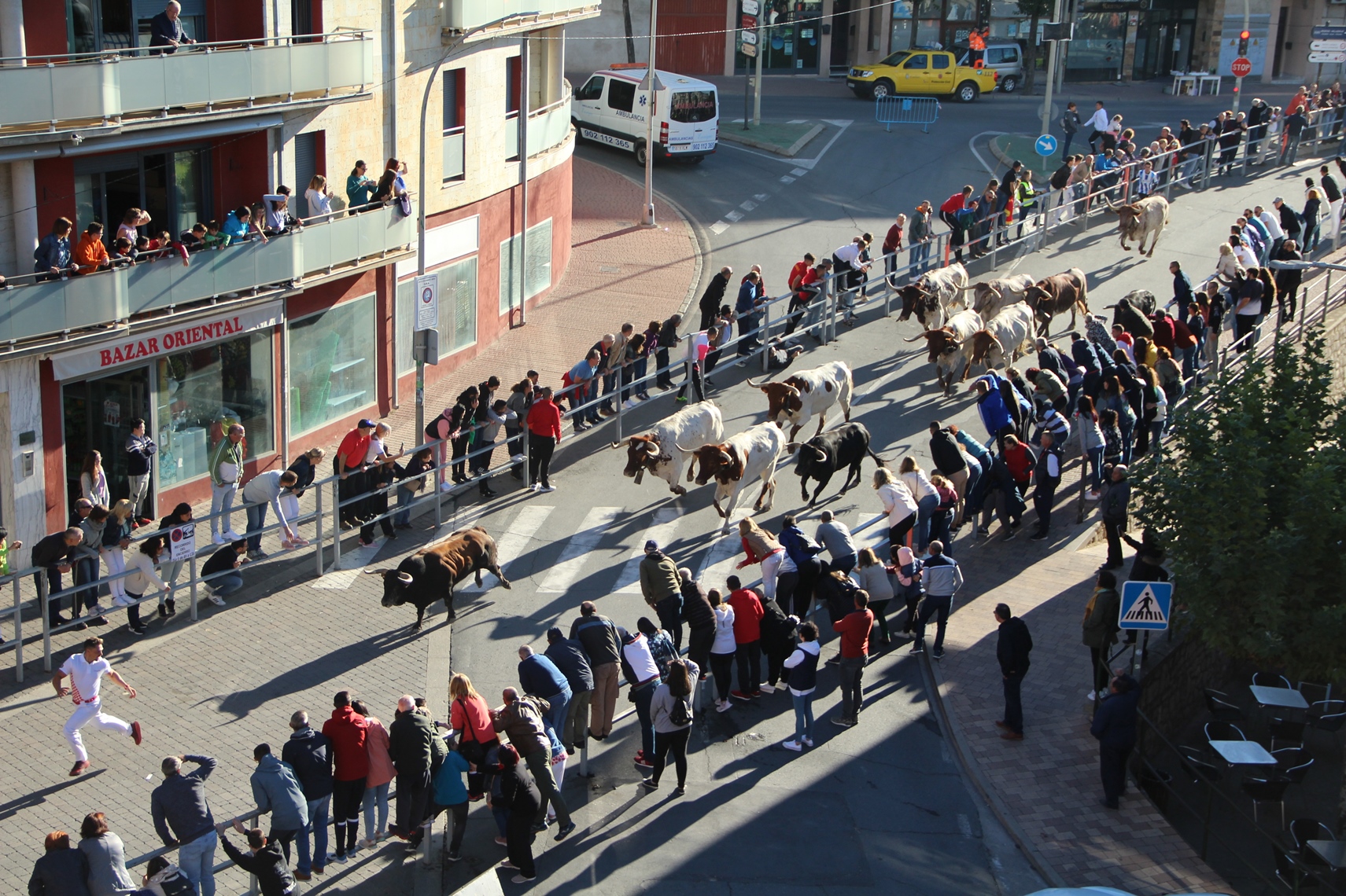 Descafeinado encierro de San Miguel con cinco toros disgregados por las  calles de Cuéllar | Radio Segovia | Cadena SER