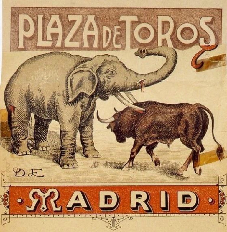 En España la costumbre de enfrentar toros contra fieras duró hasta 1904 |  Cadena SER | Cadena SER