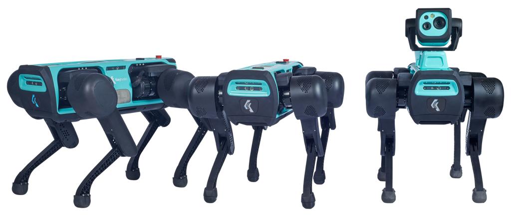 Perkins', un perro-robot que ayudaría en un rescate gracias a la  identificación de objetos 