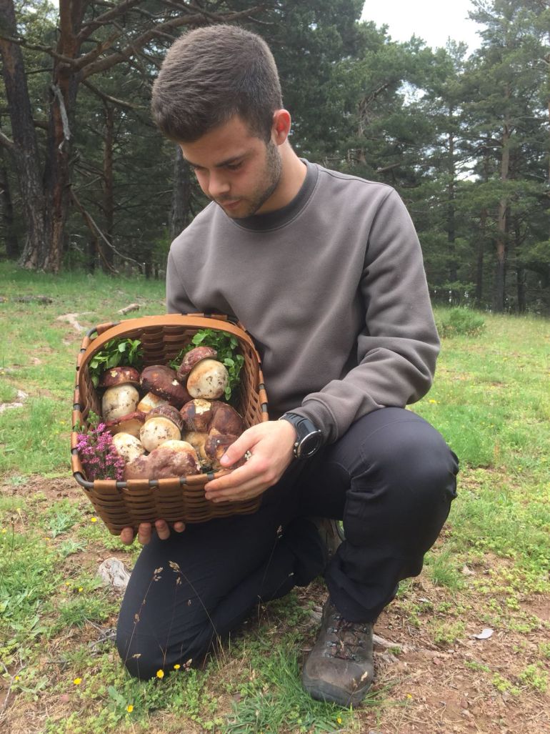 Los hongos silvestres comestibles en Palencia alcanzan un record de campaña  de primavera 2018 | Actualidad | Cadena SER