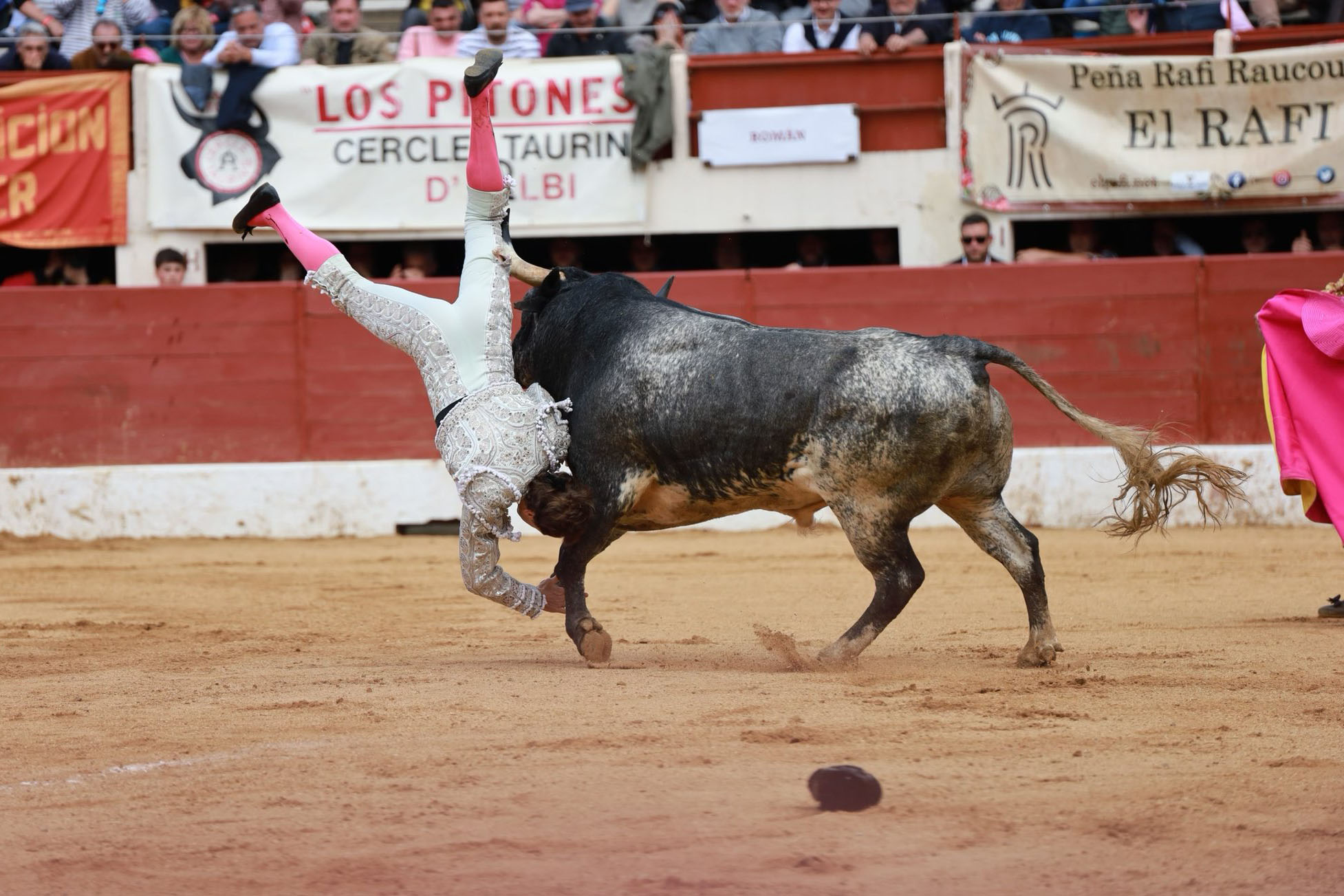 El torero Román Collado evoluciona favorablemente de su cogida en Francia y  podría volver en breve a España | Actualidad | Cadena SER