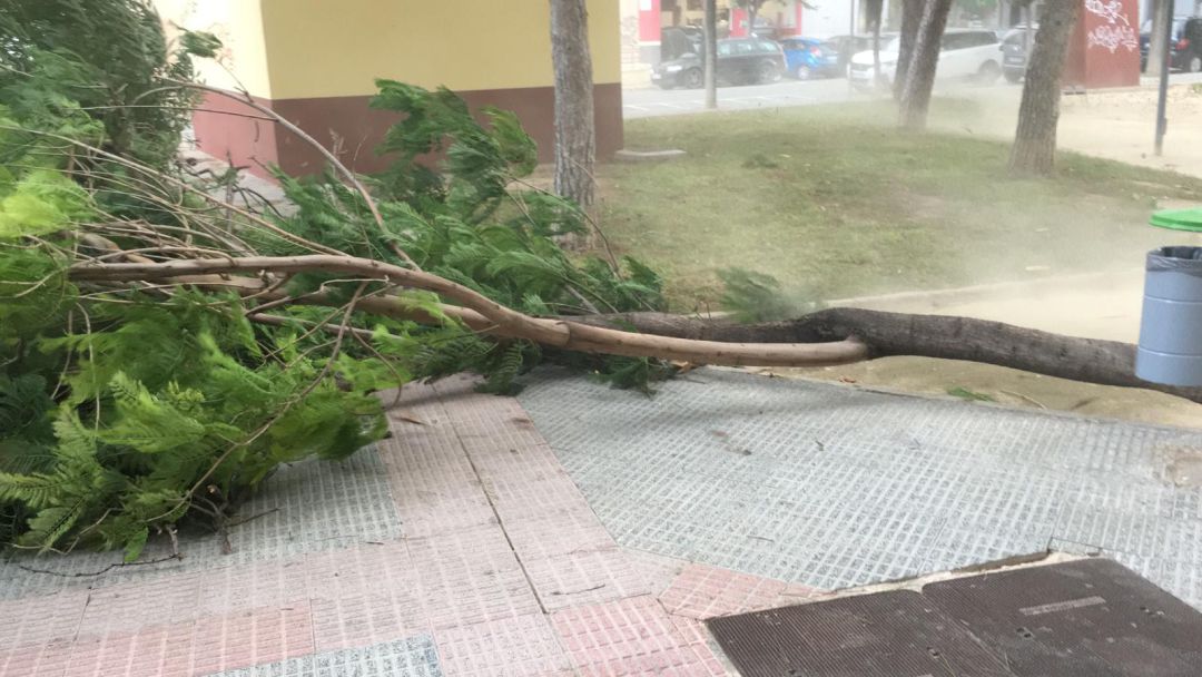 Más de doscientos incidentes provocados por el viento en la Región |  Actualidad | Cadena SER