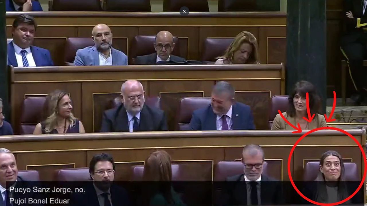 Así fue el momento en el que un diputado de Junts votó por error a Feijóo: la cara de Miriam Nogueras lo dice todo