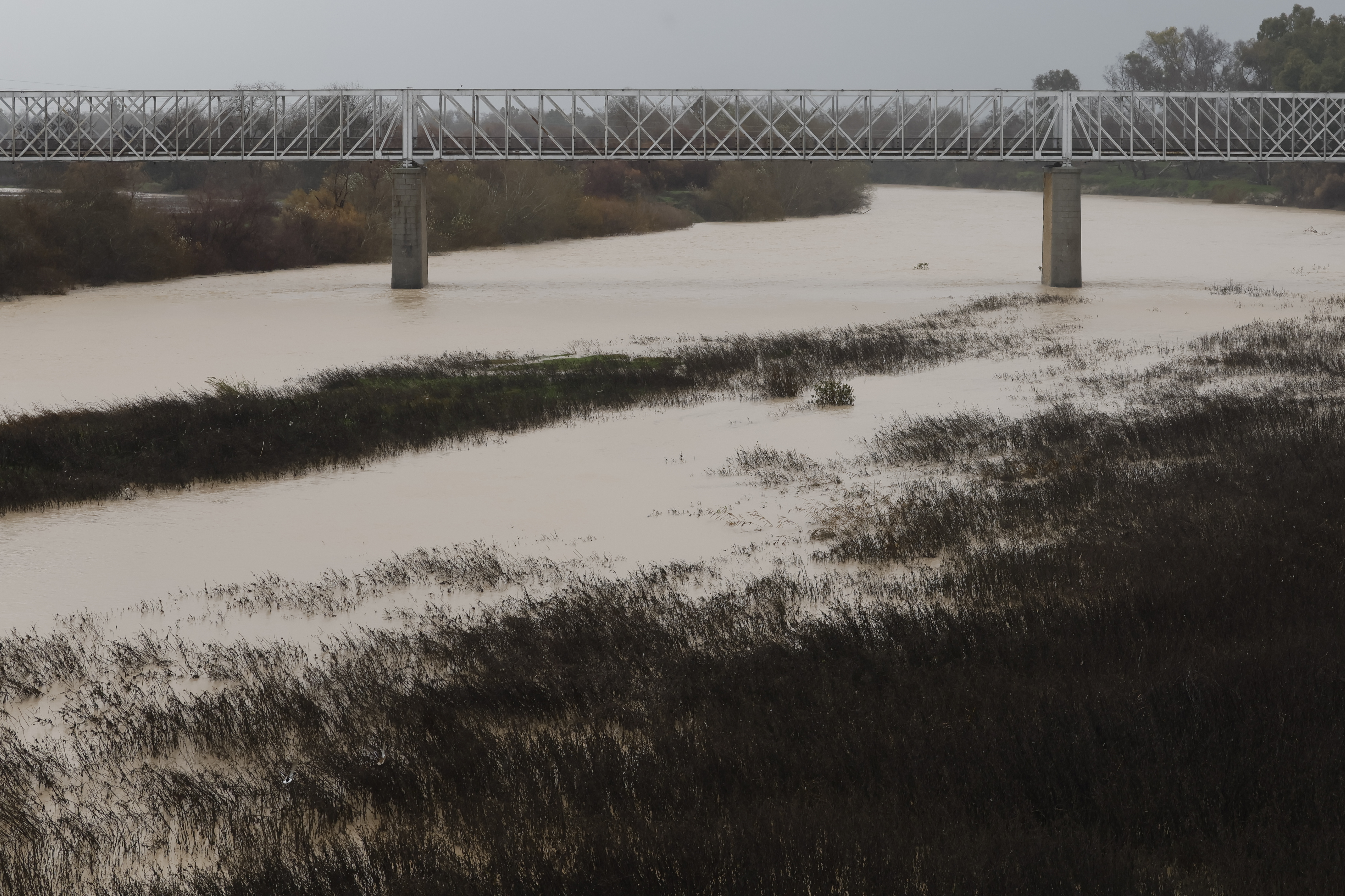 Vista del río Guadalquivir en peligro de desbordamiento a su paso por Lora del Río, en Sevilla.