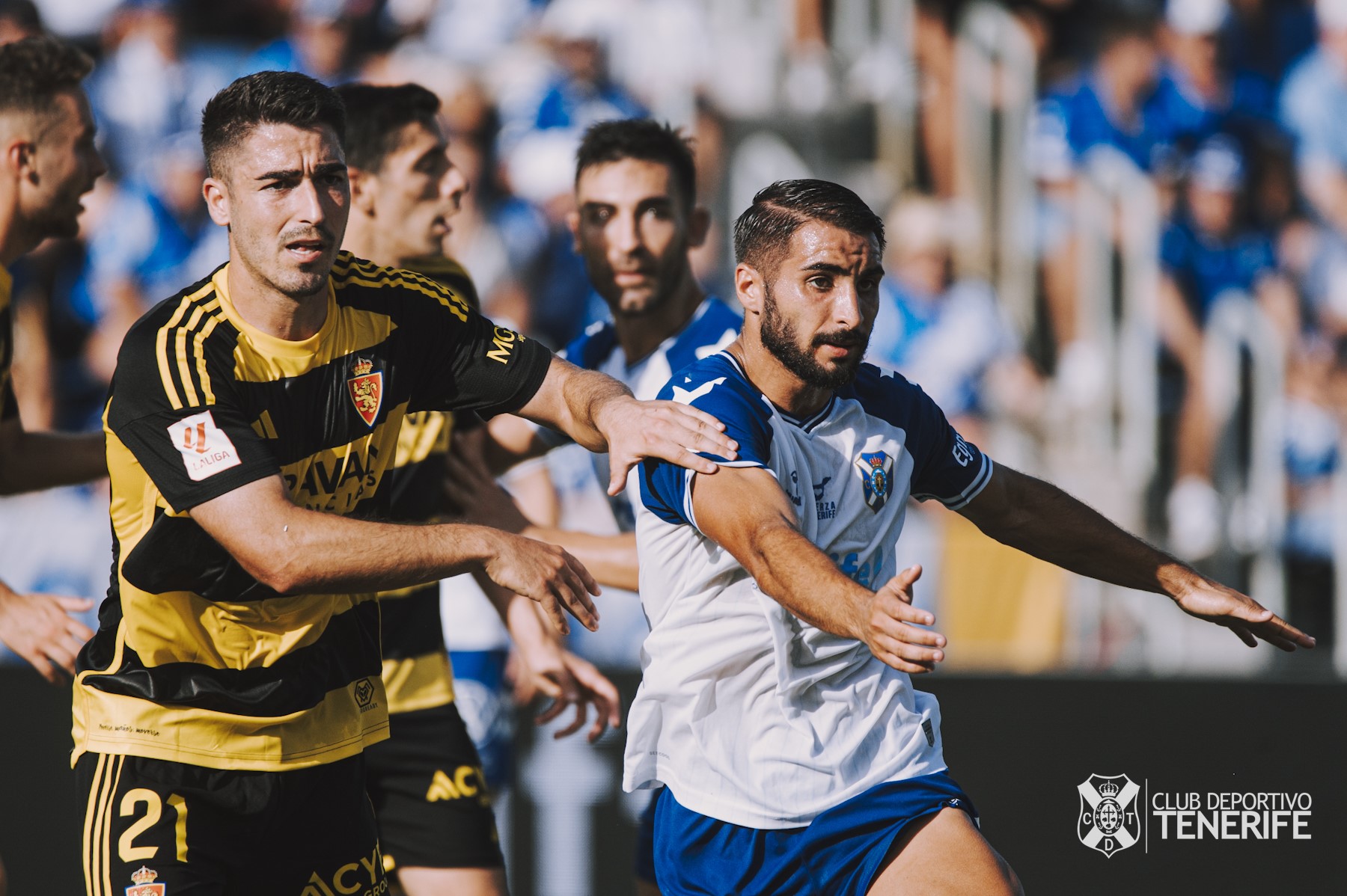 Real zaragoza contra cd tenerife