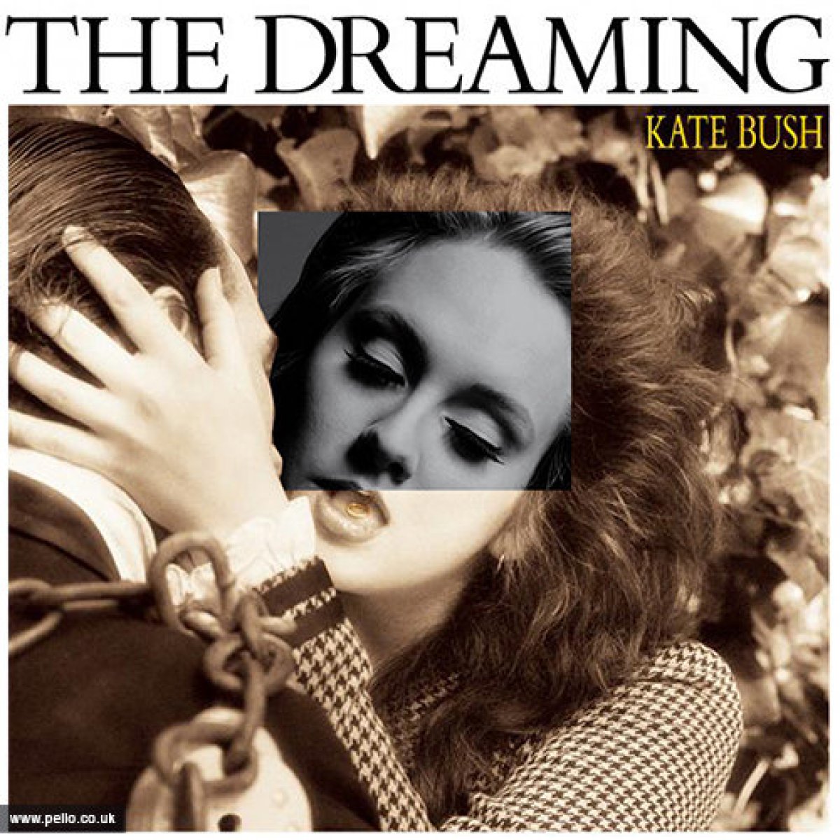 The Dreaming (Kate Bush)