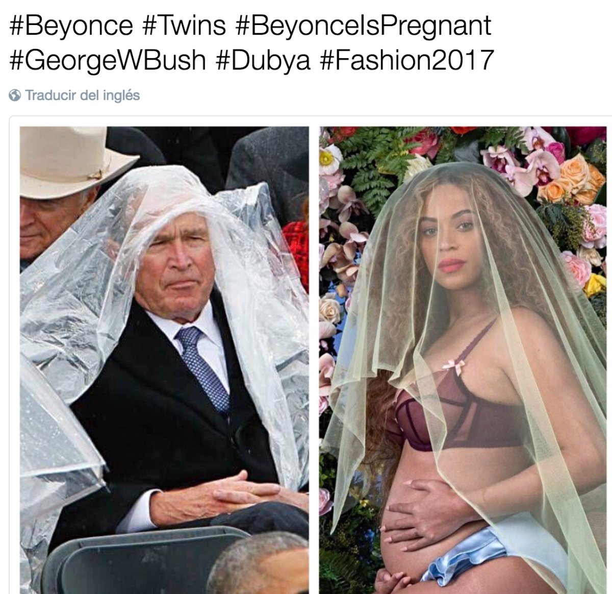 beyoncé borracha enamorada memes