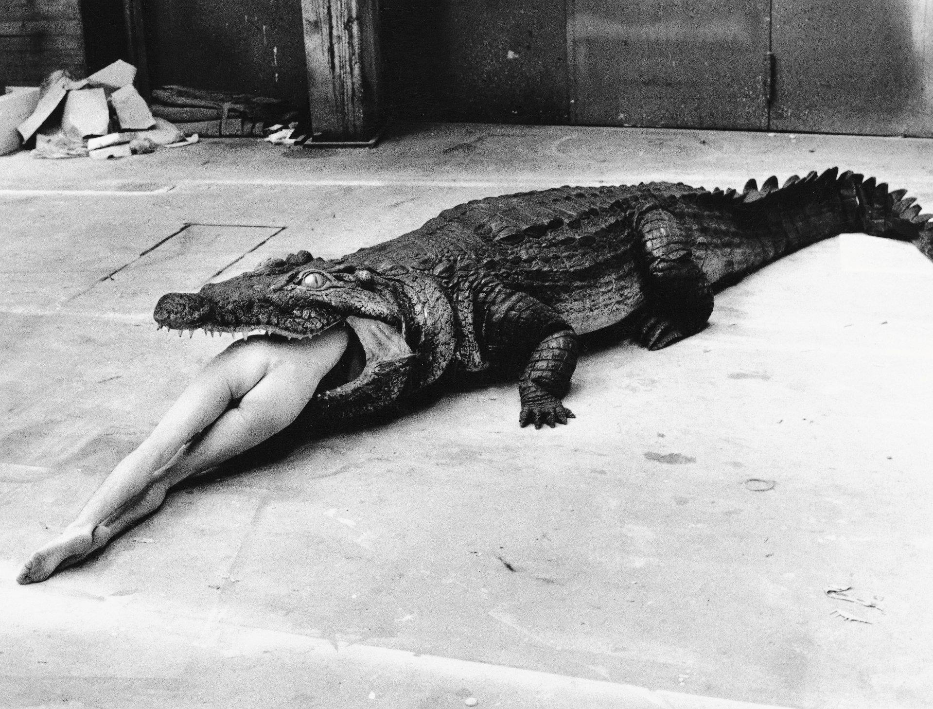 Stiliserte fotografer som «Crocodile, Wuppertal, 1983» gjorde Helmut Newton til en omdiskutert motefotograf. Nå er dokumentarfilmen om Newton ute på ulike strømme- og leieplattformer. Alle foto: Helmut Newton Foundation