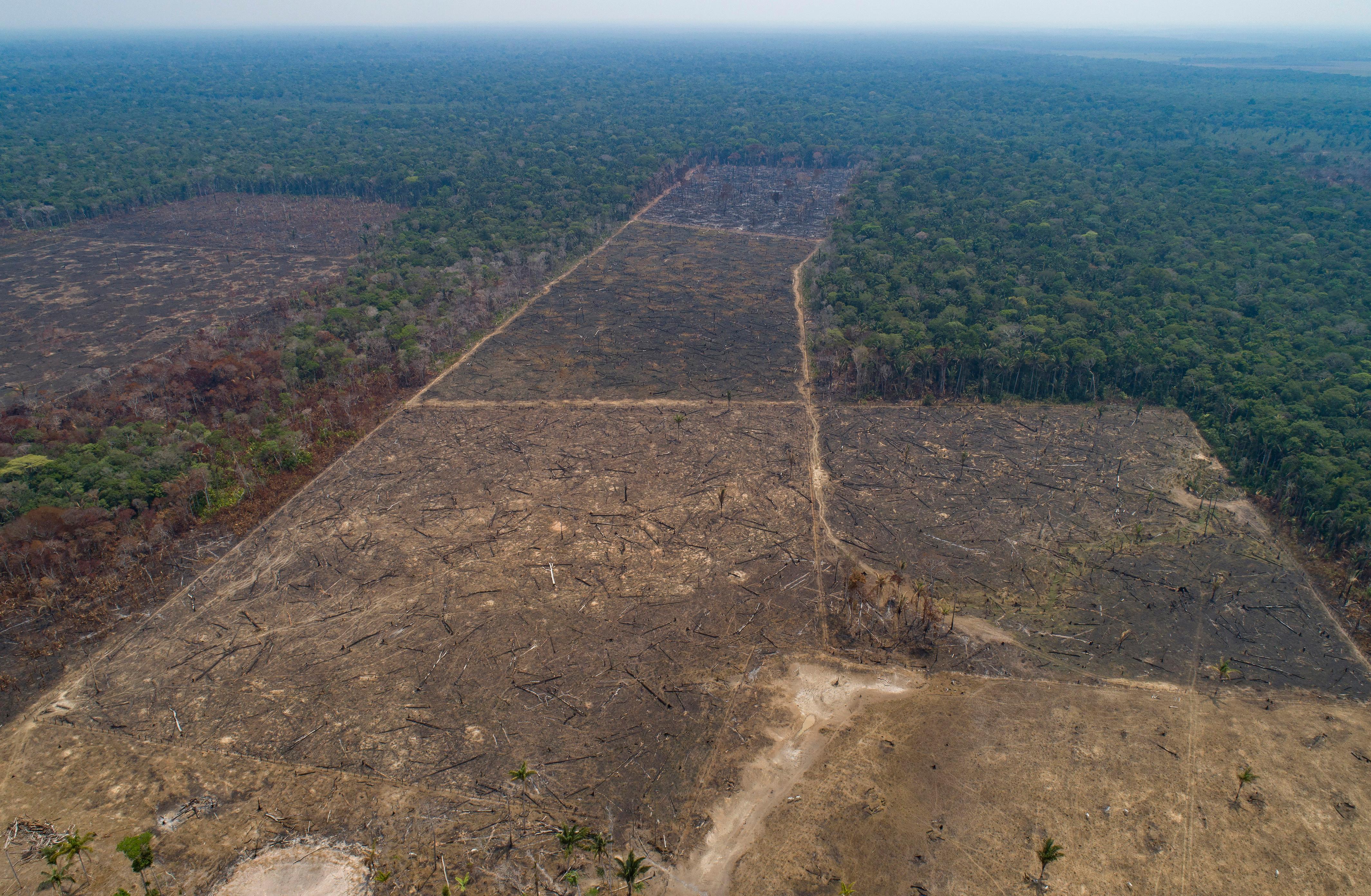 Bildet viser et område som nylig er avskoget og nedbrent av storfebønder i regnskogen Amazonas i Brasil, tatt 2. september 2019. Avskogingen har skutt i været etter at Bolsonaro tok over som president i 2018. Nå er regjeringen hans saksøkt for brudd på grunnloven av fire opposisjonspartier.