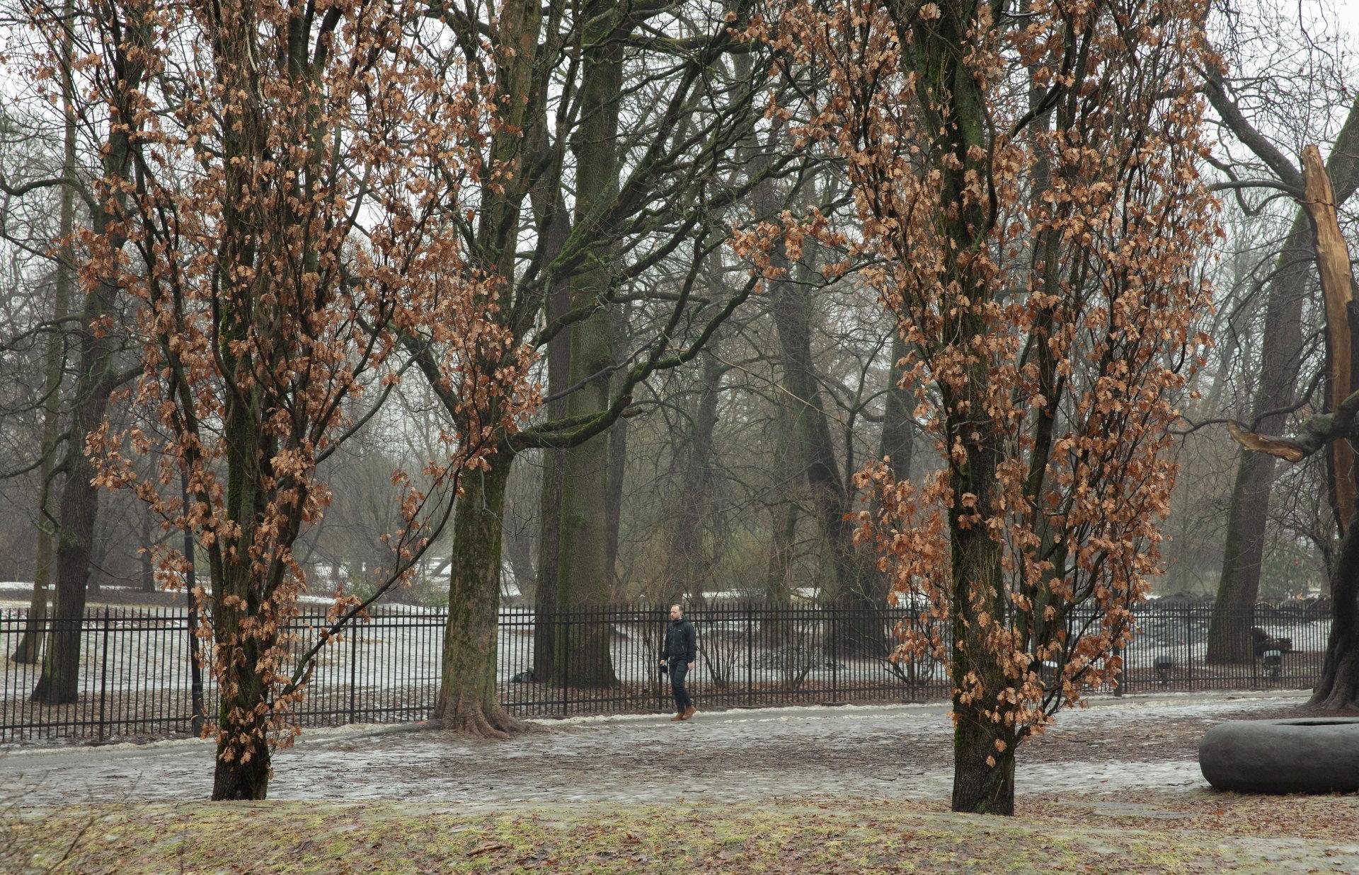 Koronavinteren 2021: Ikke så mye annet å gjøre i Oslo enn å gå tur.                                                        Foto: Mina Ræge