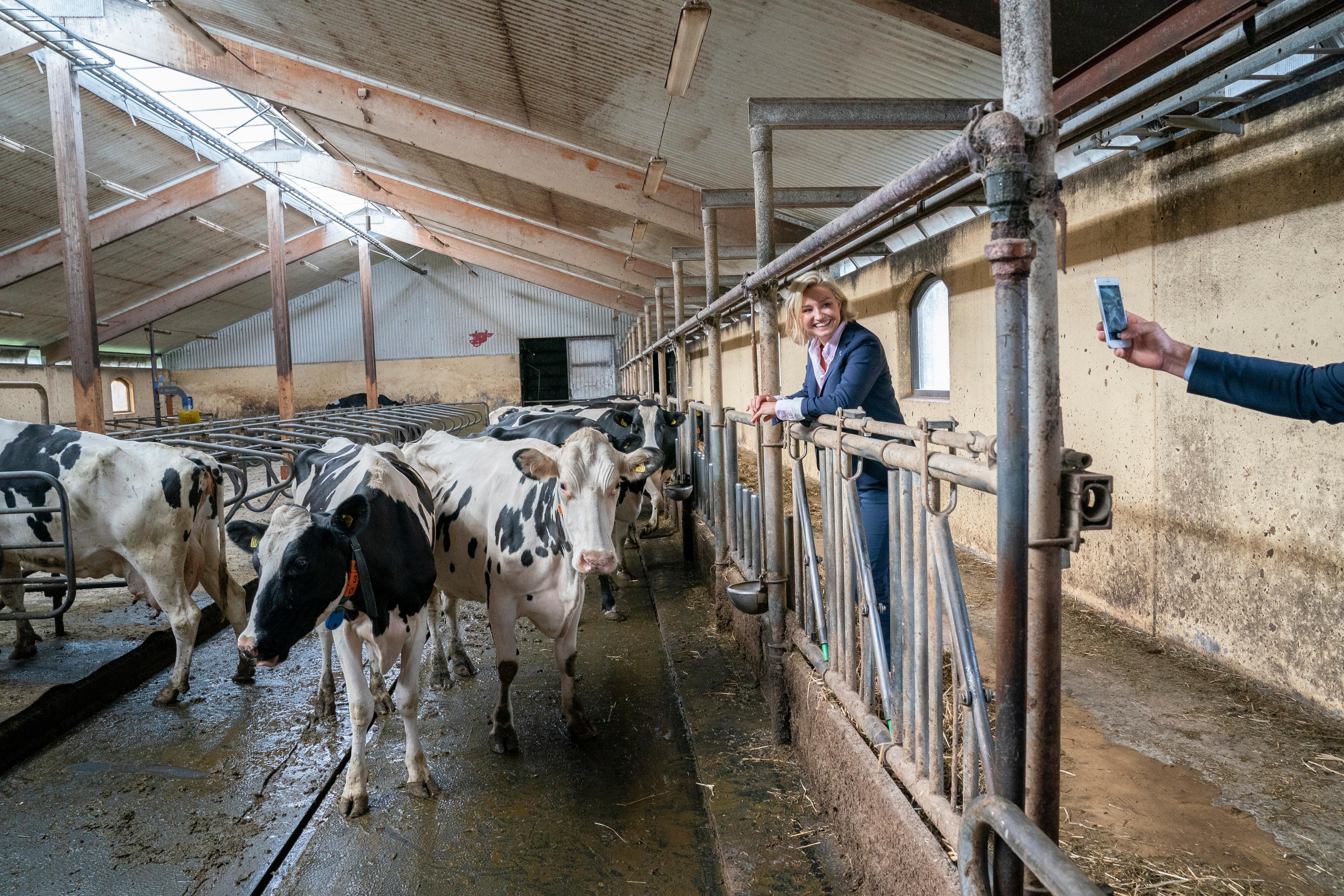 I landets bibelbelte farter Ebba Busch Thor i Kristdemokraterna rundt for å berge grunnfjellet. KrFs søsterparti har fått sitt «Frp-problem»: Høyrepopulister tar velgere.