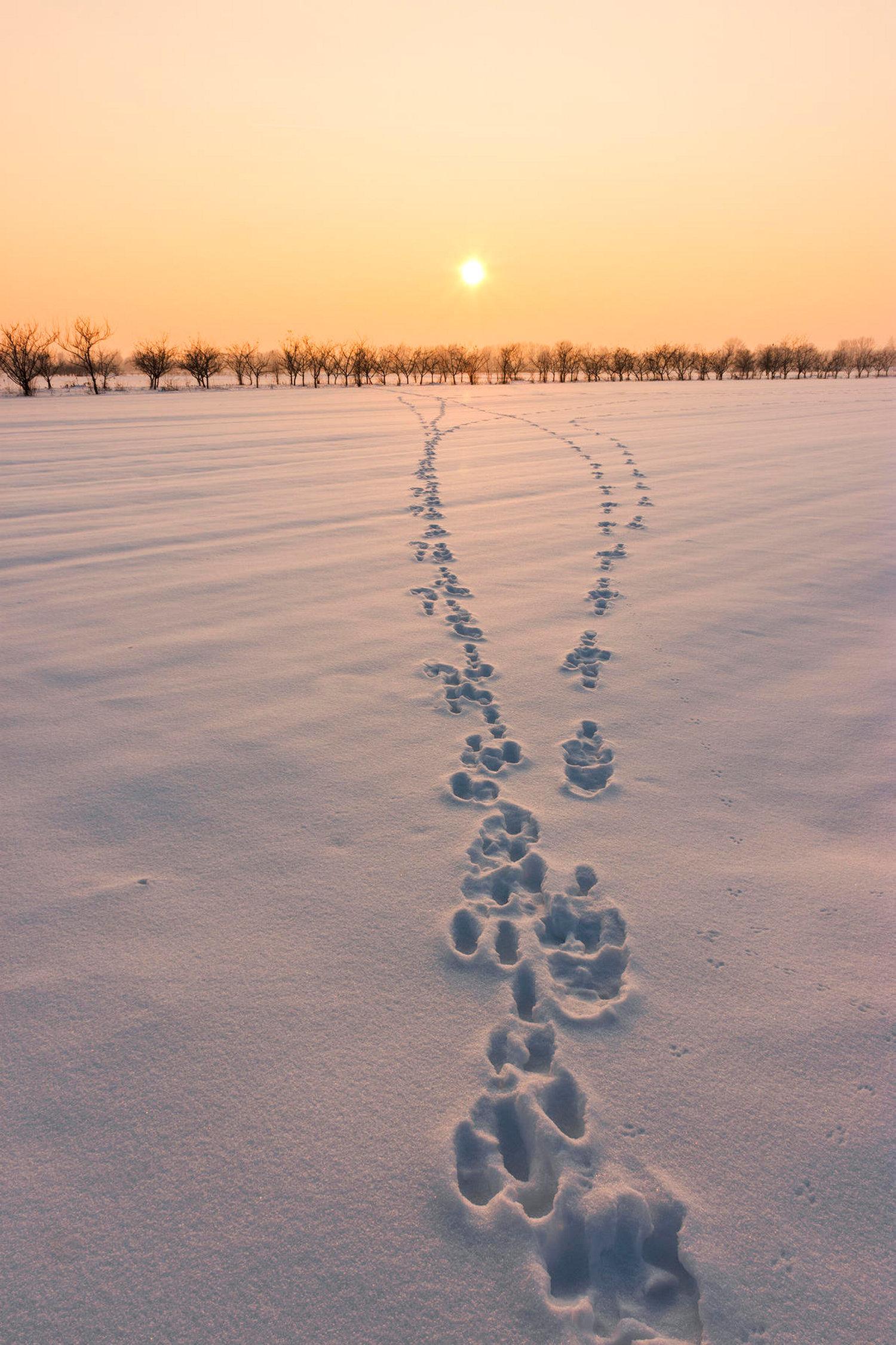 'Winter sunset', Ivica Brlic: 'The weather conditions of that day were changeable: it was sunny, cloudy, windy, stormy … The photo shows a part of these weather conditions.'