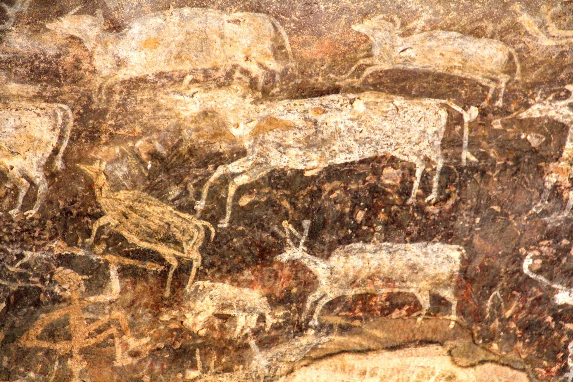 India's rock of ages: exploring the earliest evidence of human life at  Bhimbetka