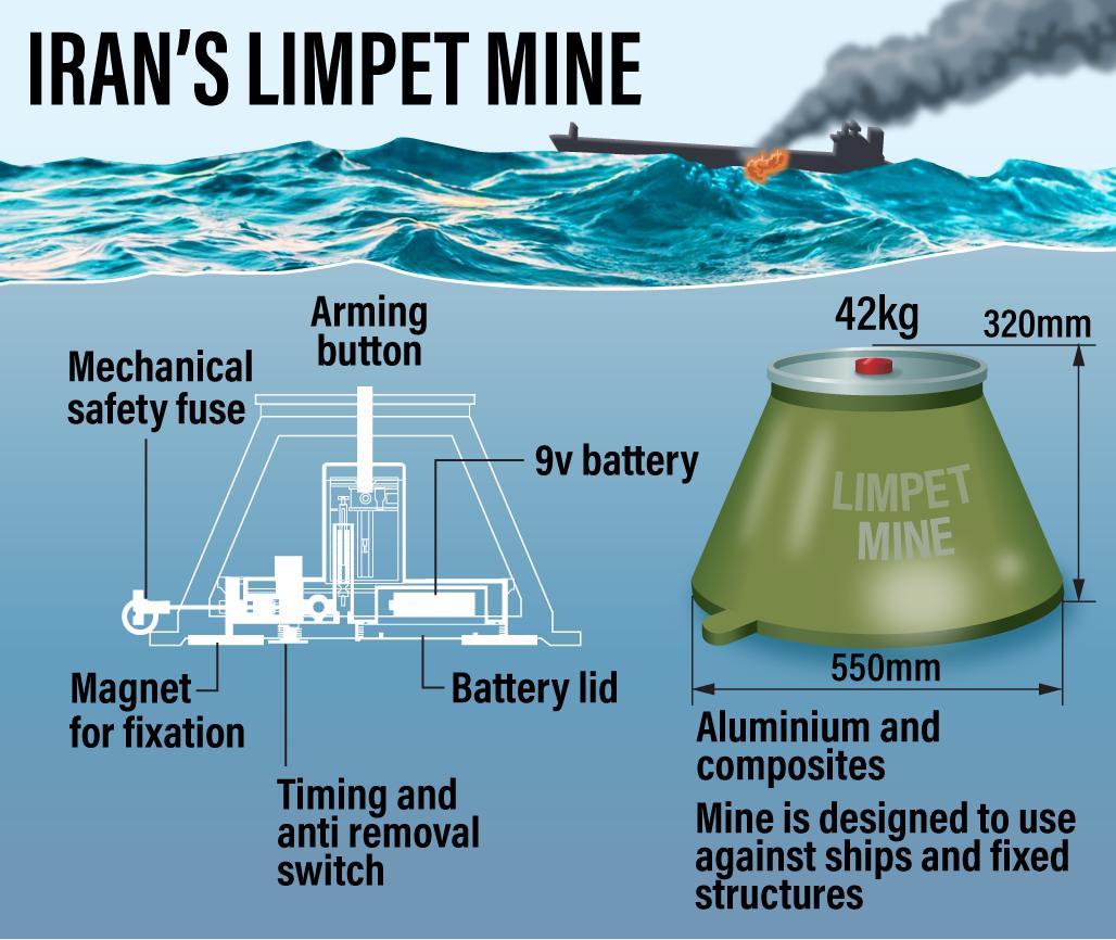 Meaning limpet