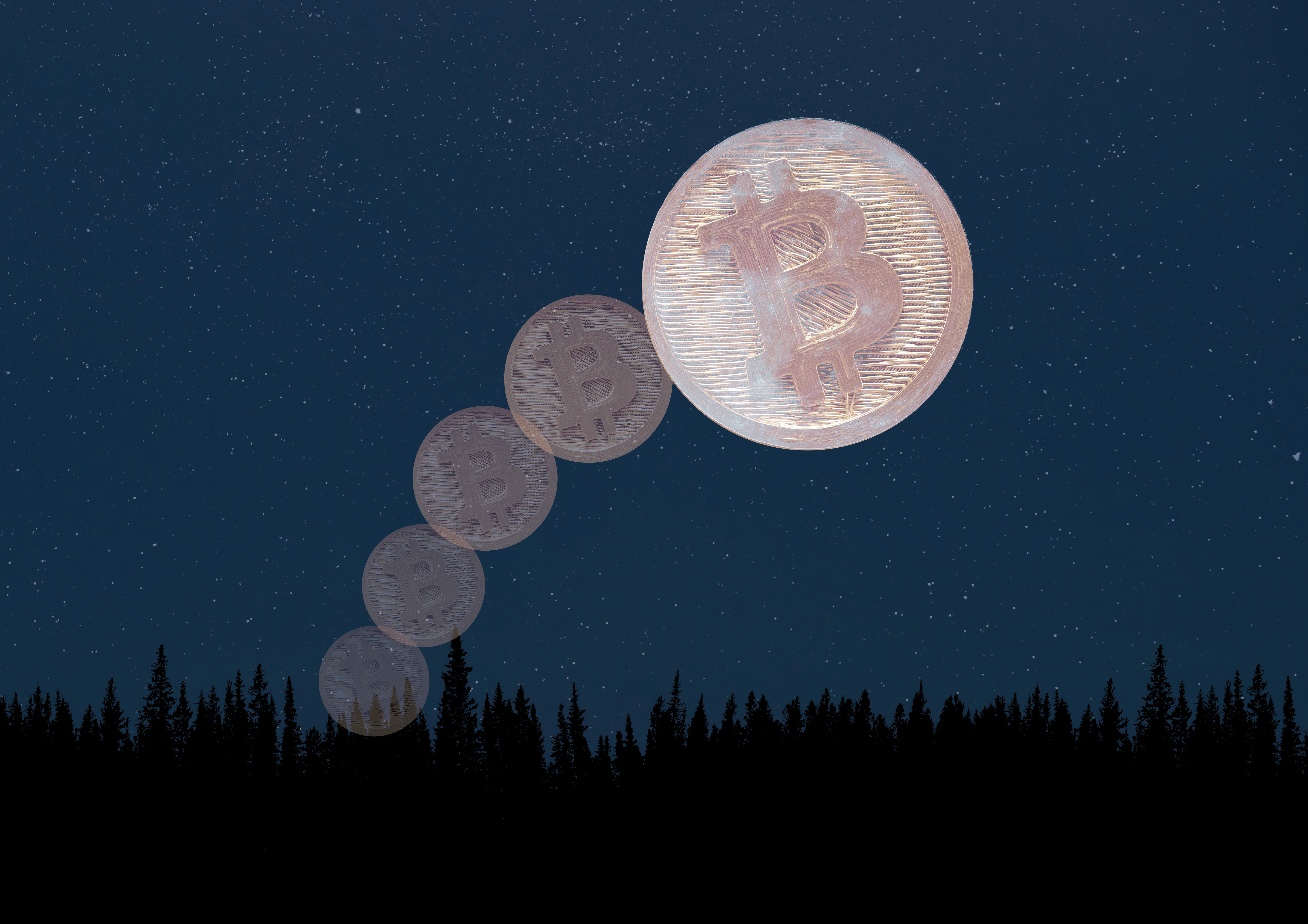 Will Bitcoin finally head to the moon in 2024? | The National