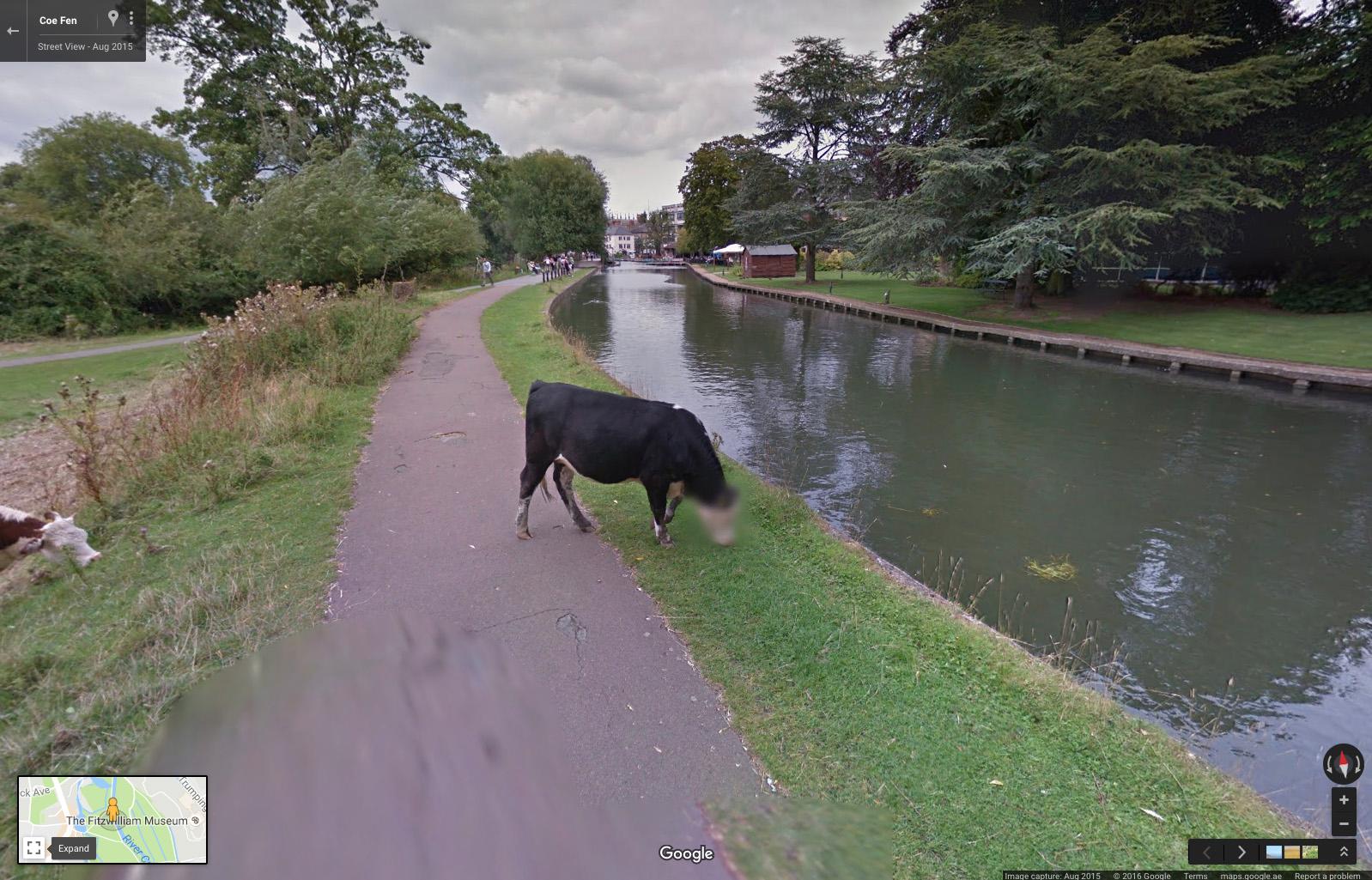 You can blur out your house or car on Google Street View, but it's permanent