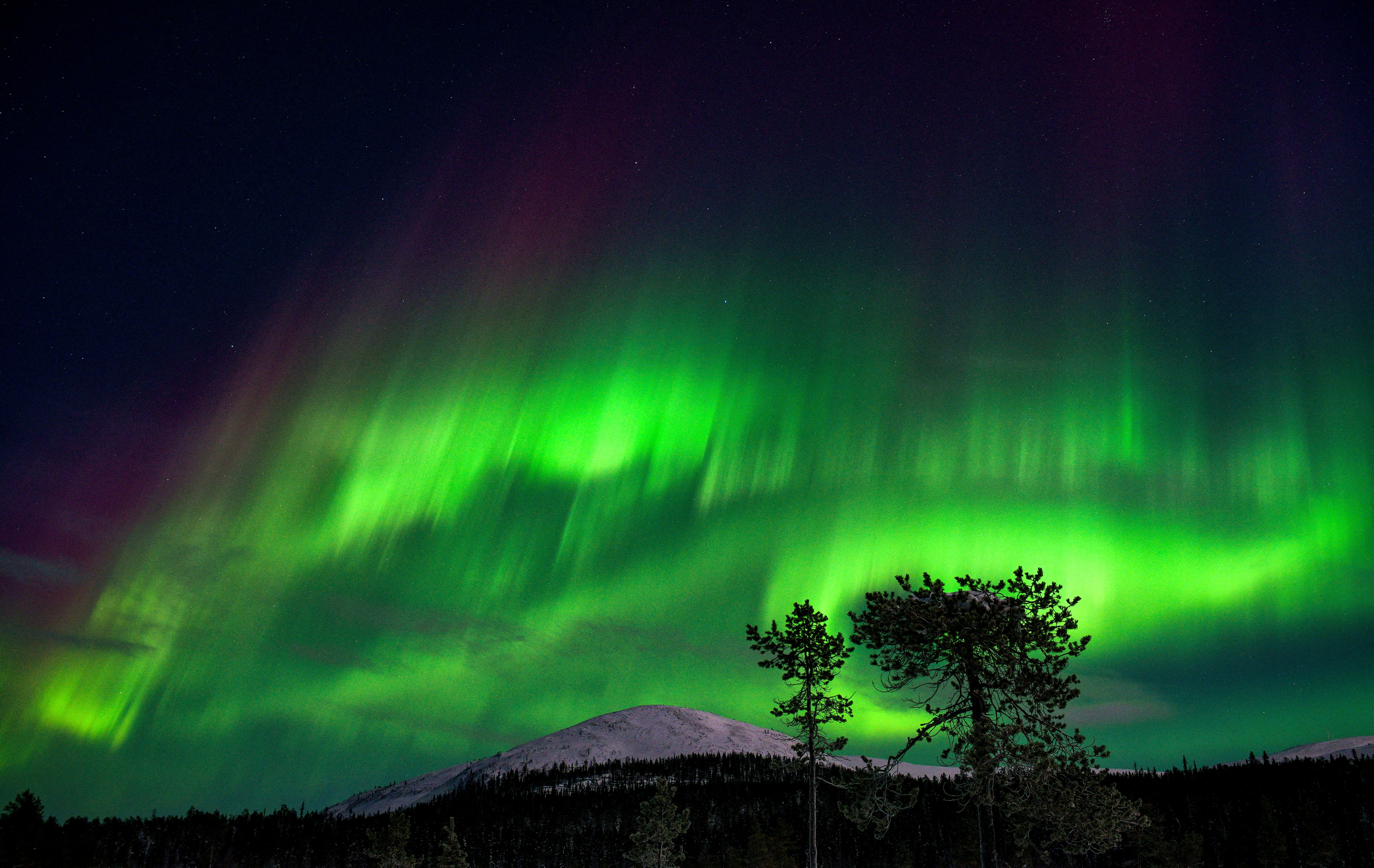 About - Aurora Borealis: where to see the Northern Lights?
