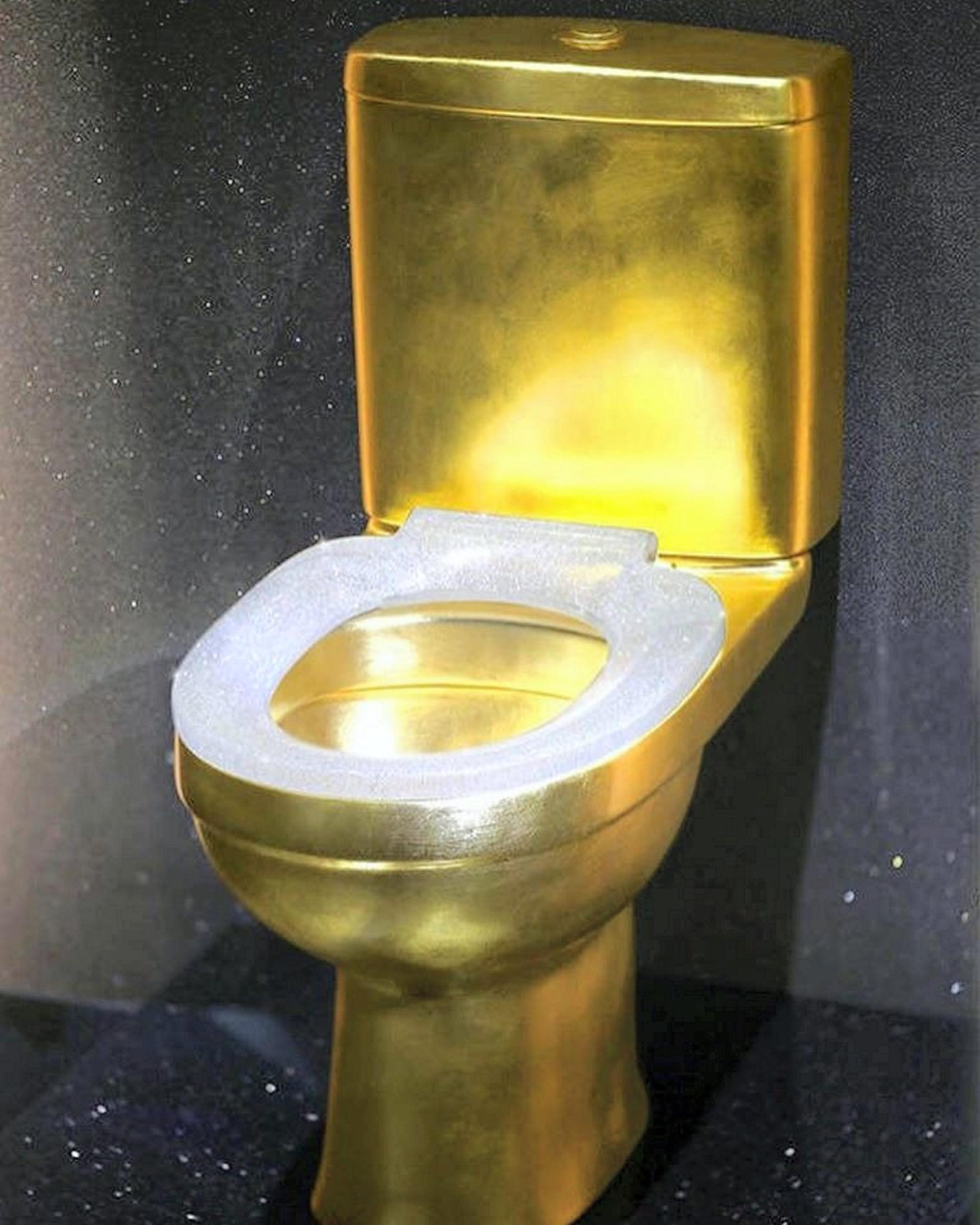 Japan's Diamond Studded Toilet Worth $100,000 