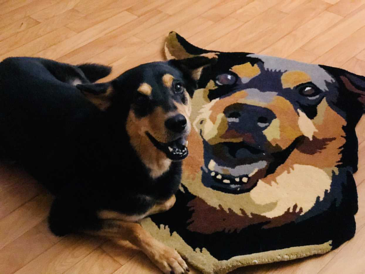 christmas tree disposal bolsa ace hardware