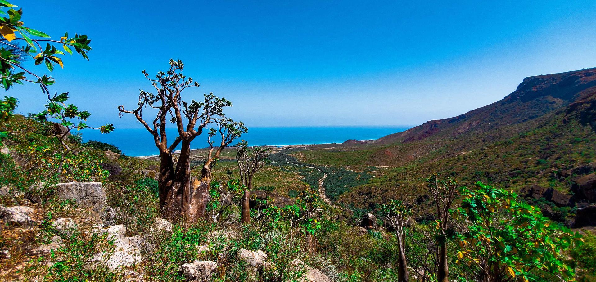 Socotra: The Mysterious Island of the Assyrian Church of the East