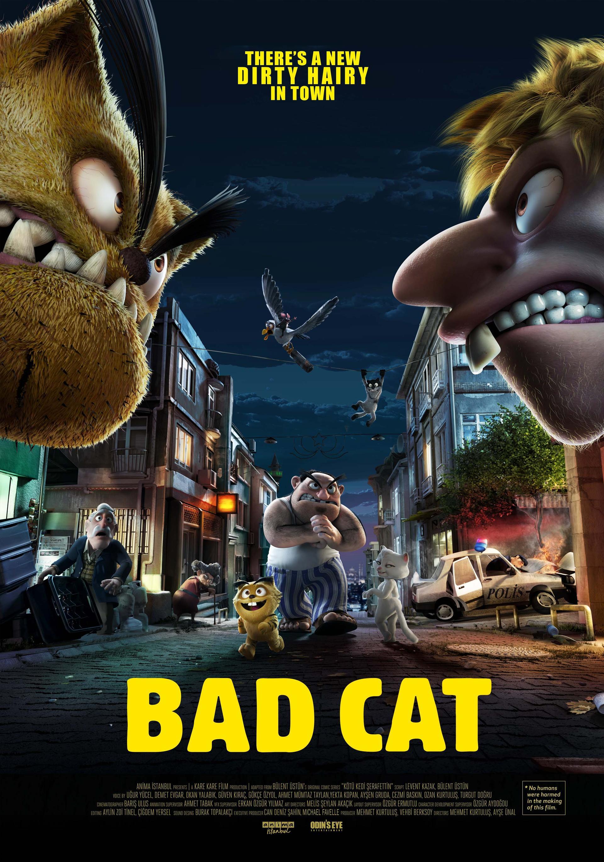 Bad Cat, 2018