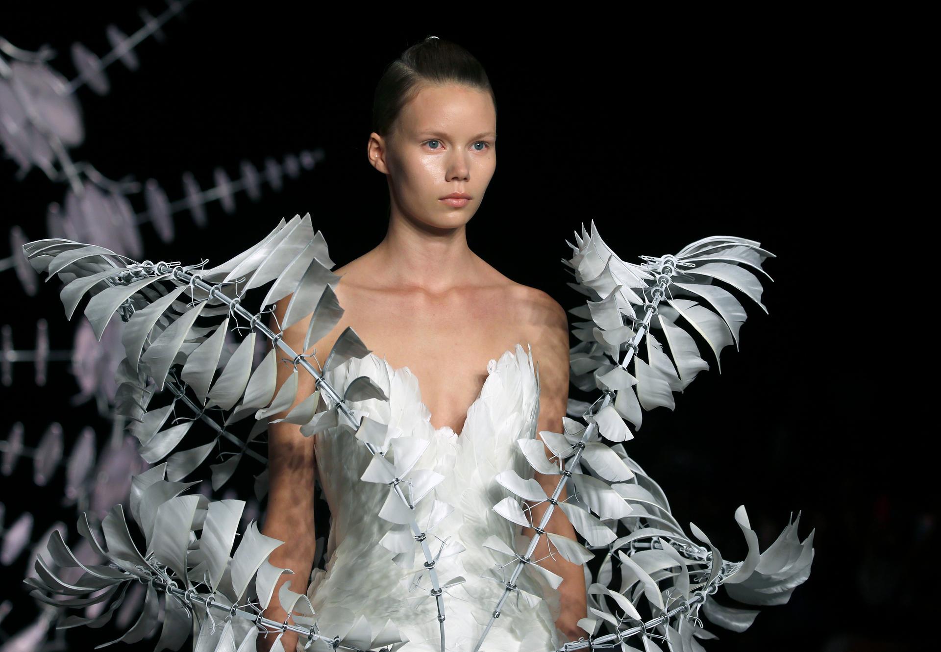 Paris Haute Couture: Dior, Iris Van Herpen & Giambattista Valli – in  pictures