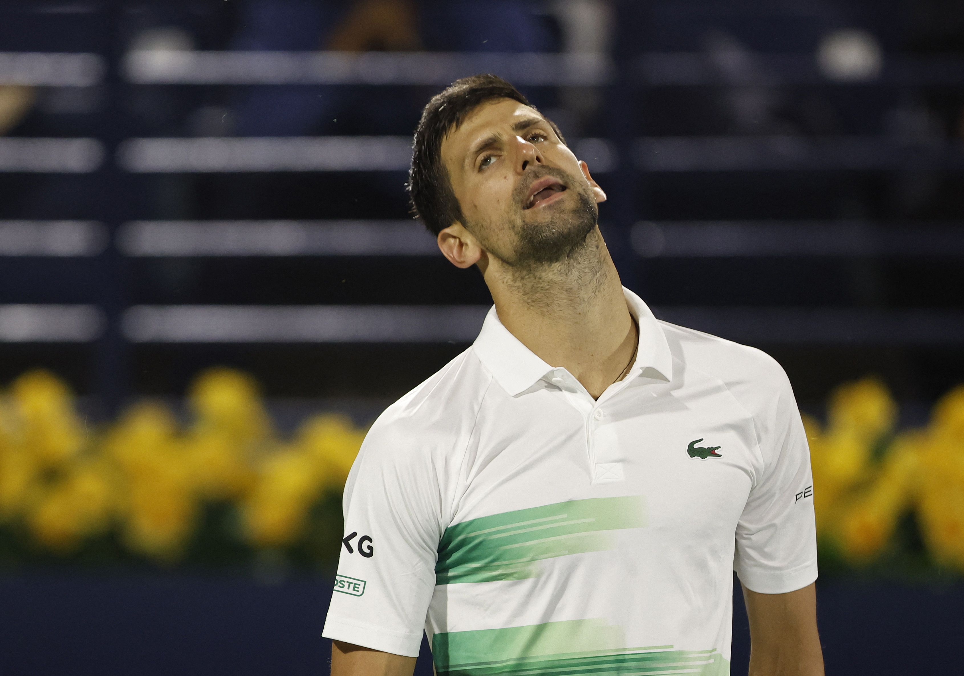 Dubai Tennis Championships 2022 scores, winners and recap: Novak Djokovic  shocked by Jiri Vesely, Daniil Medvedev to become the World No. 1