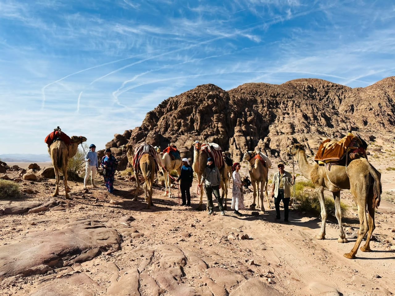 UAE group traverses 100km across Wadi Rum desert on camelback