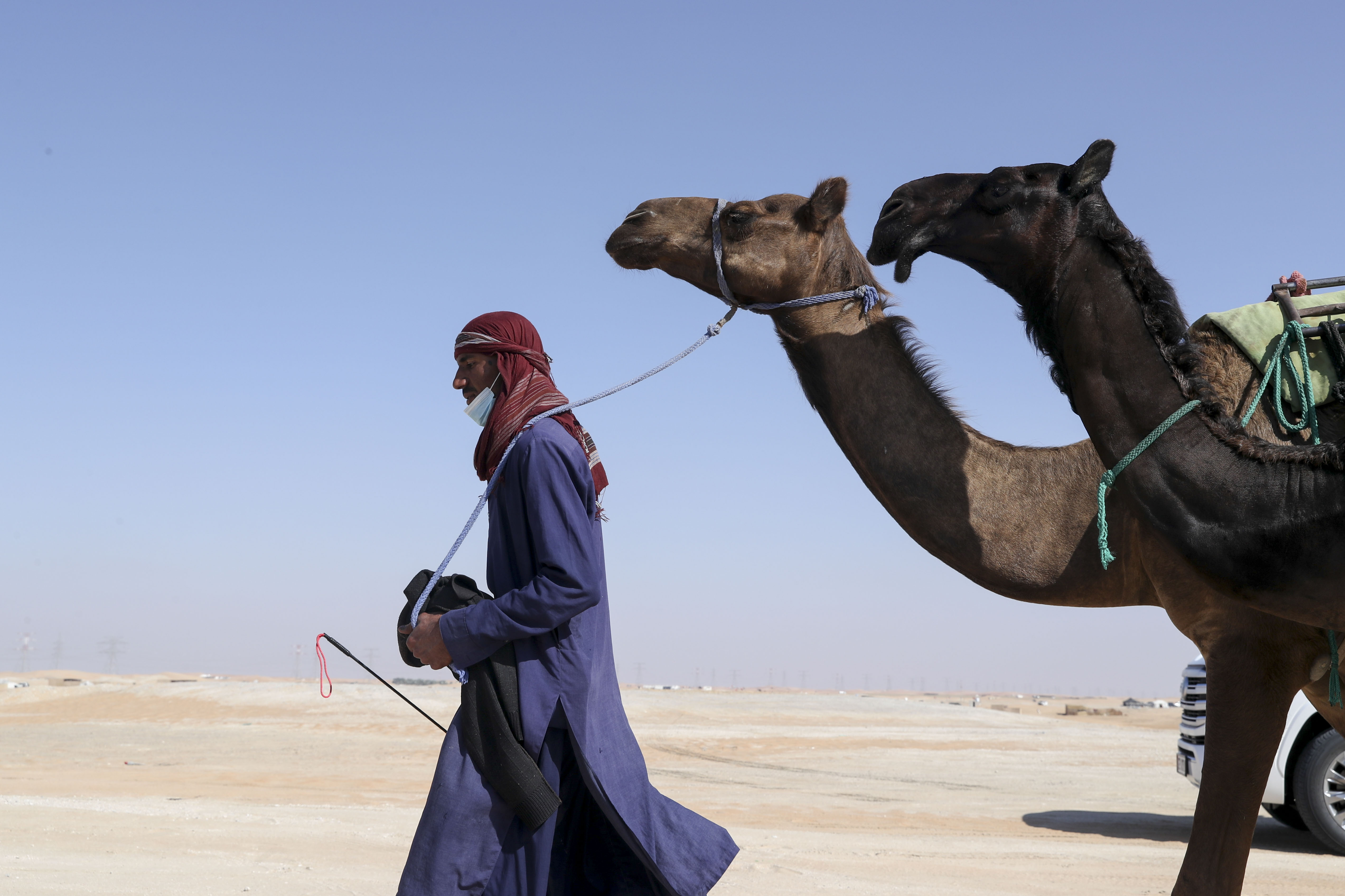 I brought my favorite Fashion to Figure dress with me to Abu Dhabi this  winter + no weight limit on camel ride… felt beautiful. : r/PlusSize