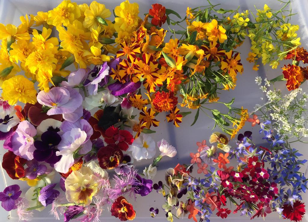 List of edible flowers in Asia: Floral delights in Asian Cuisine