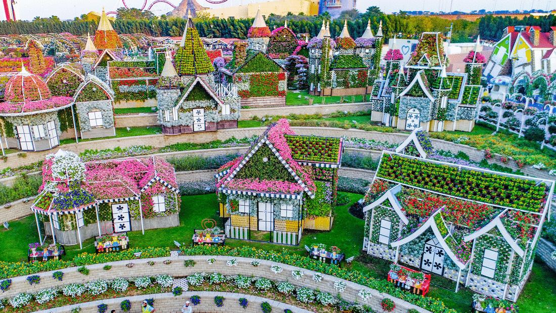 Dubai Miracle Garden to come into bloom for a new season next month