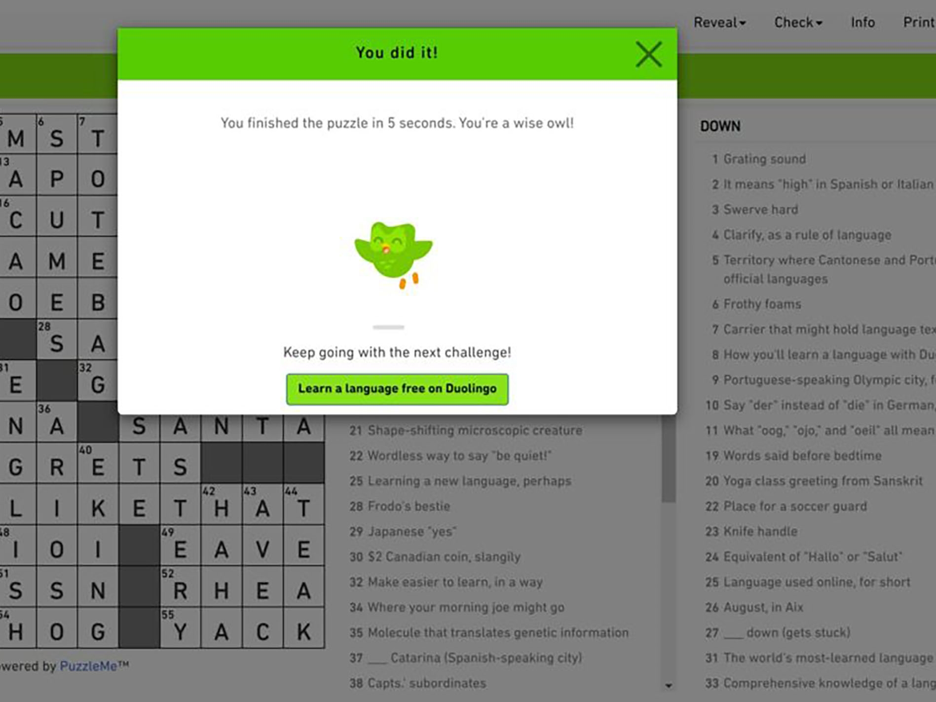 Indian company creates digital crossword puzzles for major