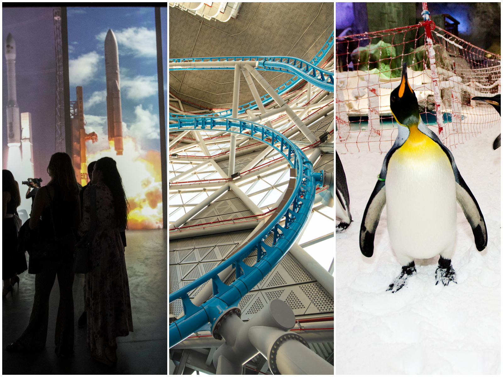 Left to right: Infinity des Lumieres; The Storm Coaster; and Ski Dubai are some famous mall attractions in the UAE. Photo: Ruel Pableo for The National; Emaar; Sarah Dea for The National