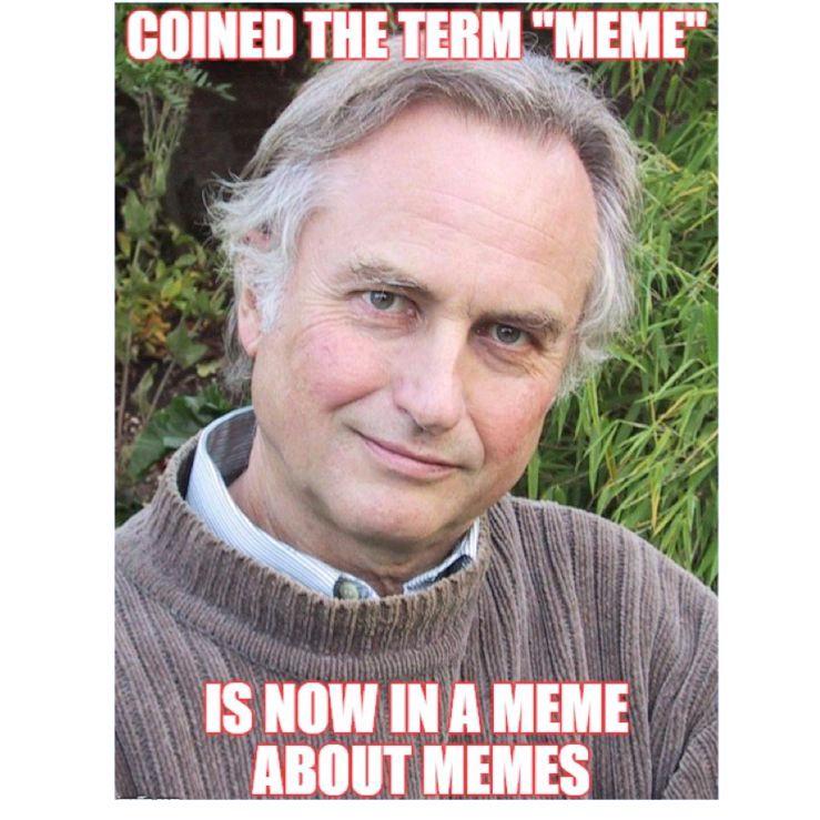 The Meaning Of Memes Where Did They Come From And Why Are They So Comforting
