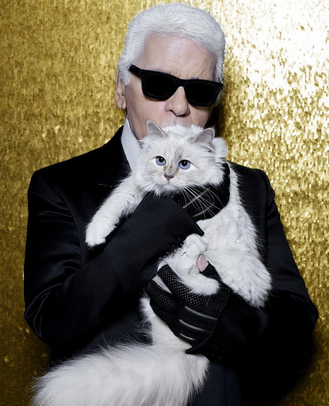 Louis Vuitton on X: What did Choupette whisper to Karl Lagerfeld for  #CelebratingMonogram? Revealed #Sept10  / X