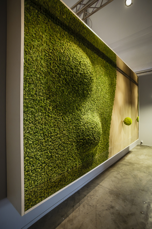 Moss Carpet by Nection Design  Inhabitat - Green Design, Innovation,  Architecture, Green Building