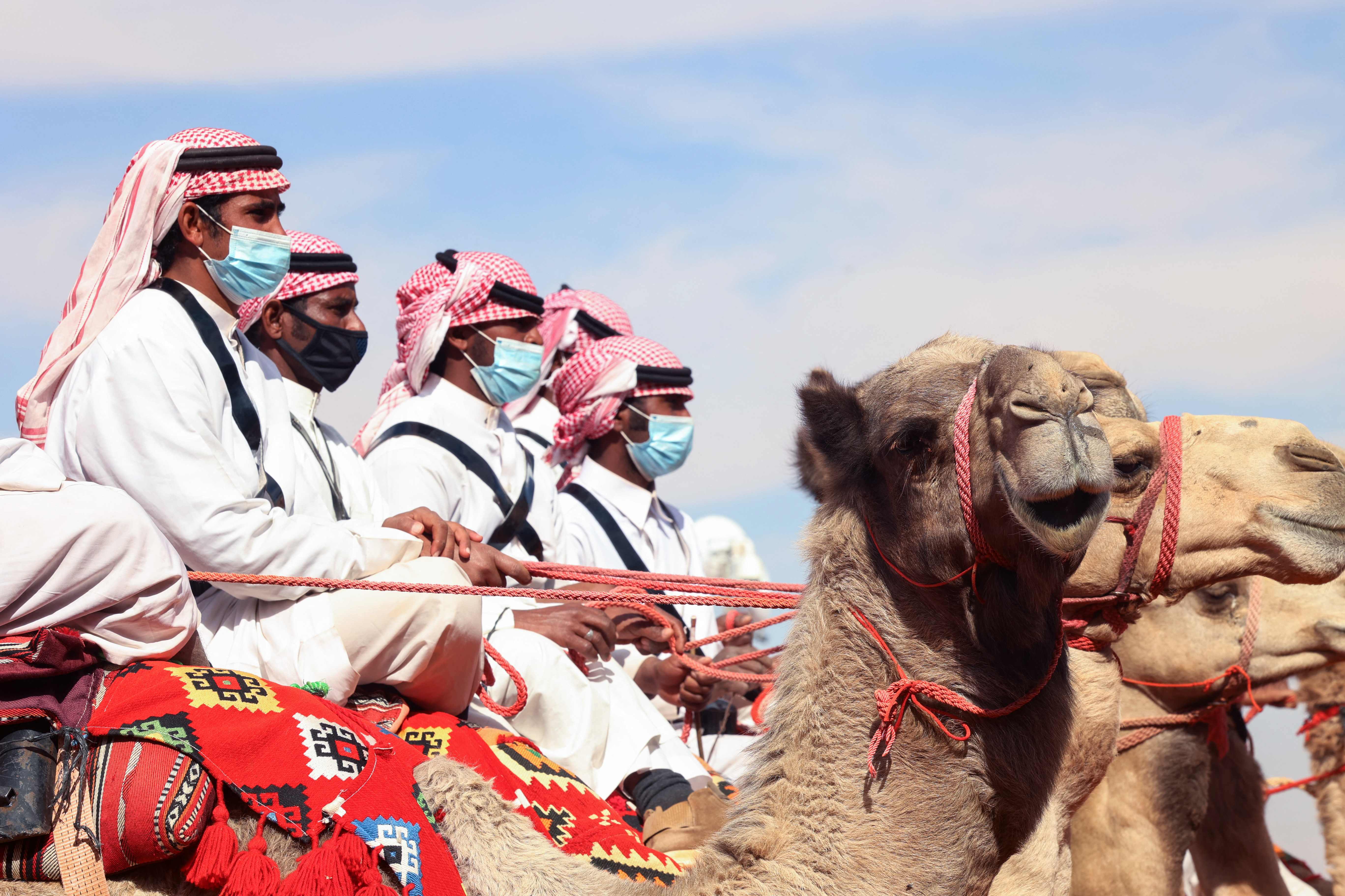 Saudi Arabia reveals world's first 'camel hotel' with full services