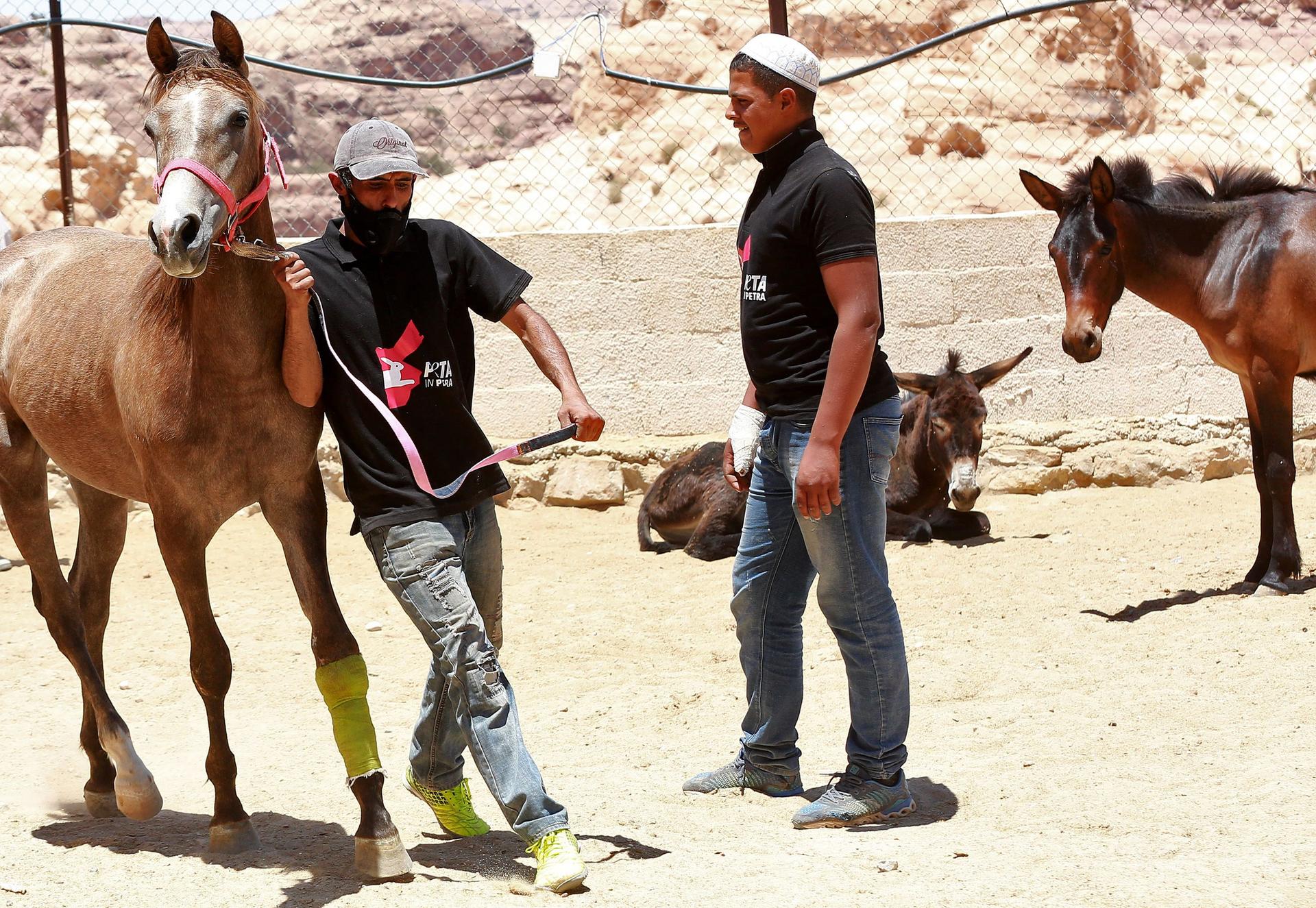 Ping pong shows in Thailand and riding donkeys in Petra: Our biggest travel  regrets