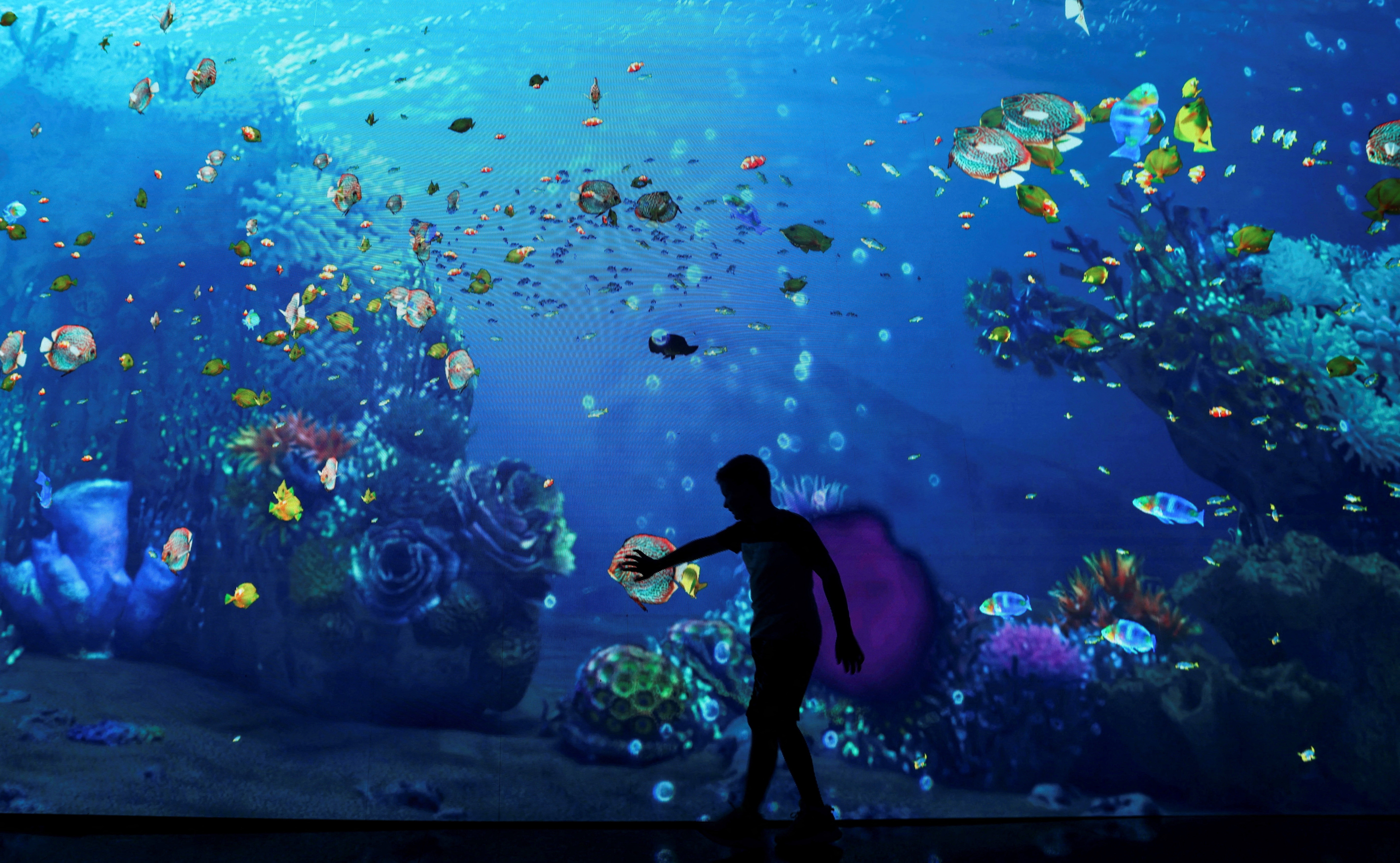 A water wonderland greets this child at an acquarium in the Cop27 Green Zone. Reuters